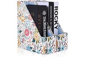 2 Packs SUIN Cute File Holder