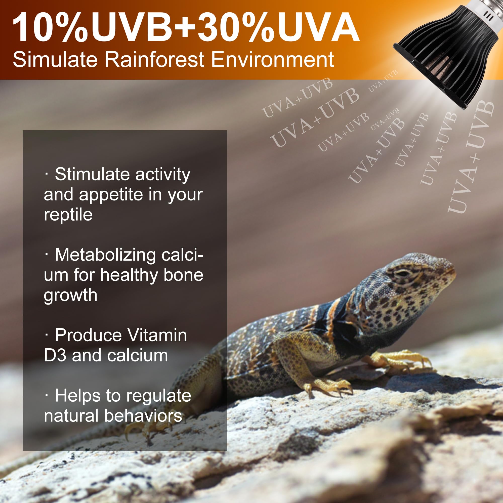 UVB Reptile Light Bulb 10.0, 5W LED High Intensity UV Replacement Lamp Bulbs for Desert Reptiles Bearded Dragons Lizard Tortoise Iguanas Chameleons Snake - 1 Pack - image 3