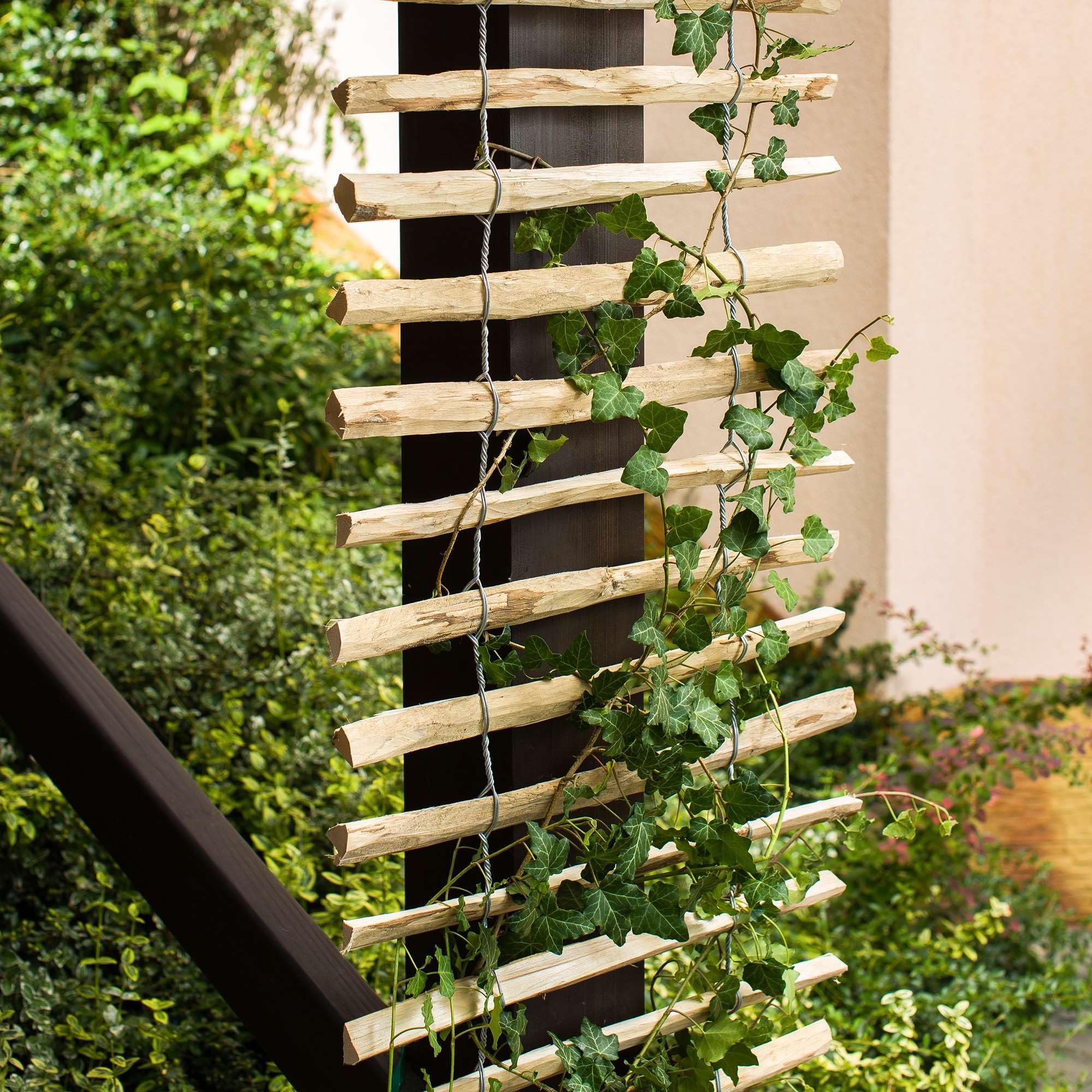 BOGATECO Treillis pour Vignes en Bois | 50 x 200 cm | Naturel Support pour Plantes grimpantes | Décoration pour terrasse, Jardin et Balcon