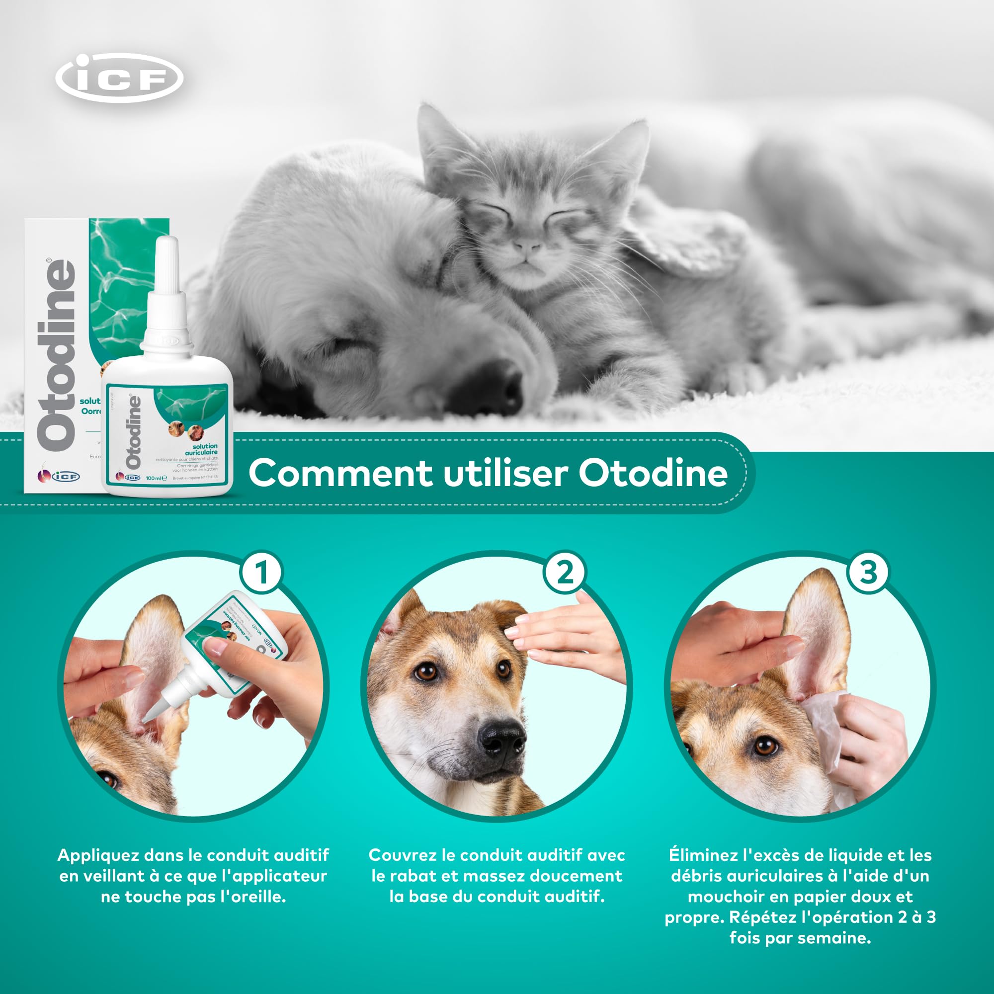 ICF Otodine | Nettoyant Oreille Chien et Chat | Nettoyant Auriculaire Assainissant pour Chien et Chat | Soin pour l'Hygiène et la Santé Auriculaire des Animaux Sujets à l'Otite Externe | 100ml