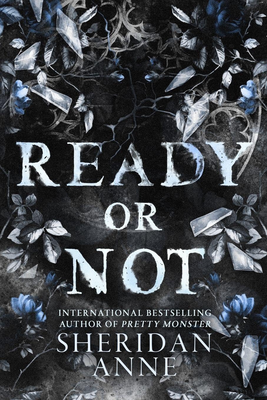 Ready or Not: A Dark Stalker Romance: 2 (Hide and Seek)