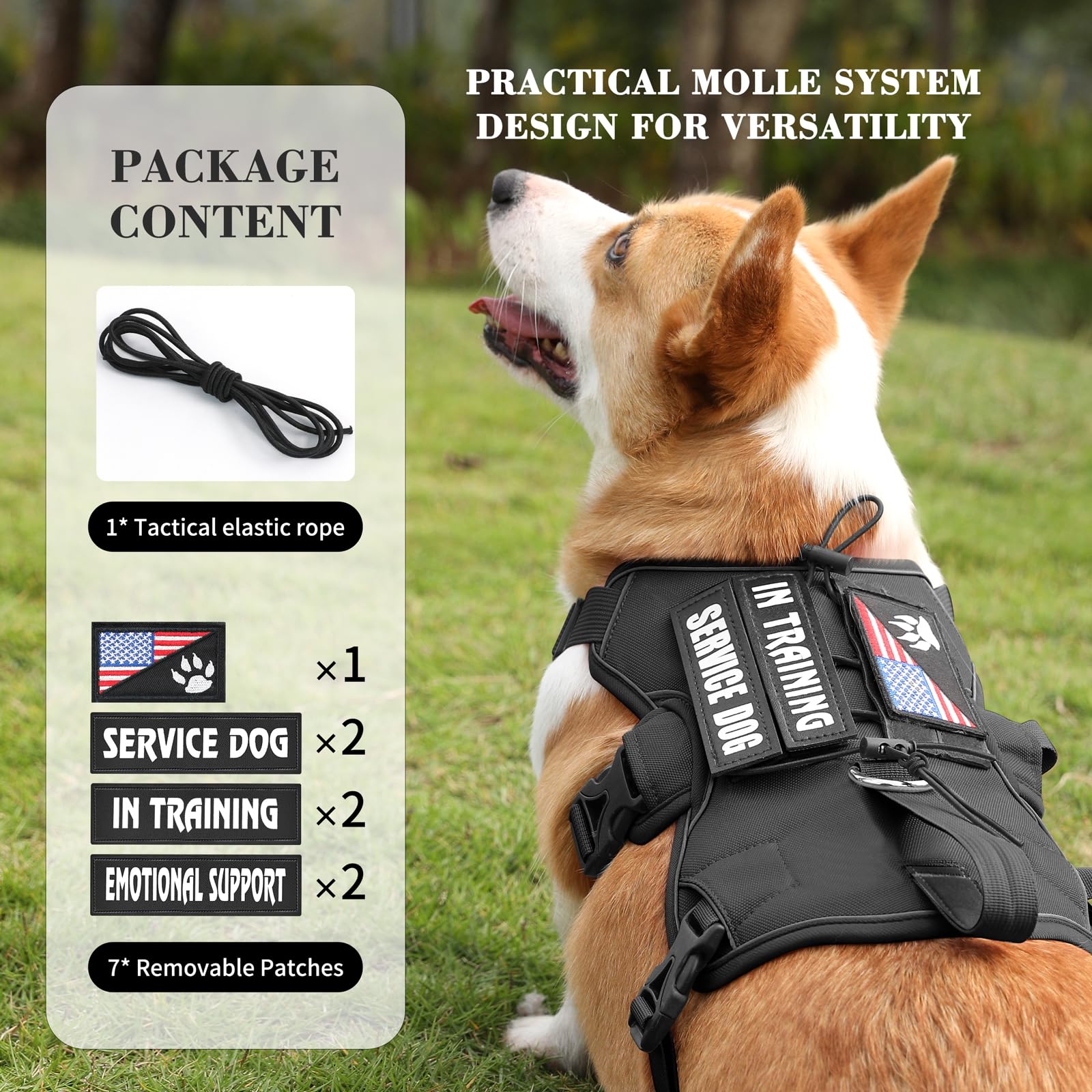 VOOPET Escape Proof Dog Harness, Soft Padded Full Body Pet Harness, Reflective No Pull Dog Harness with Handle and 2 Leash Clips for Medium Dogs Walking Hiking Training (Black,M) - image 4