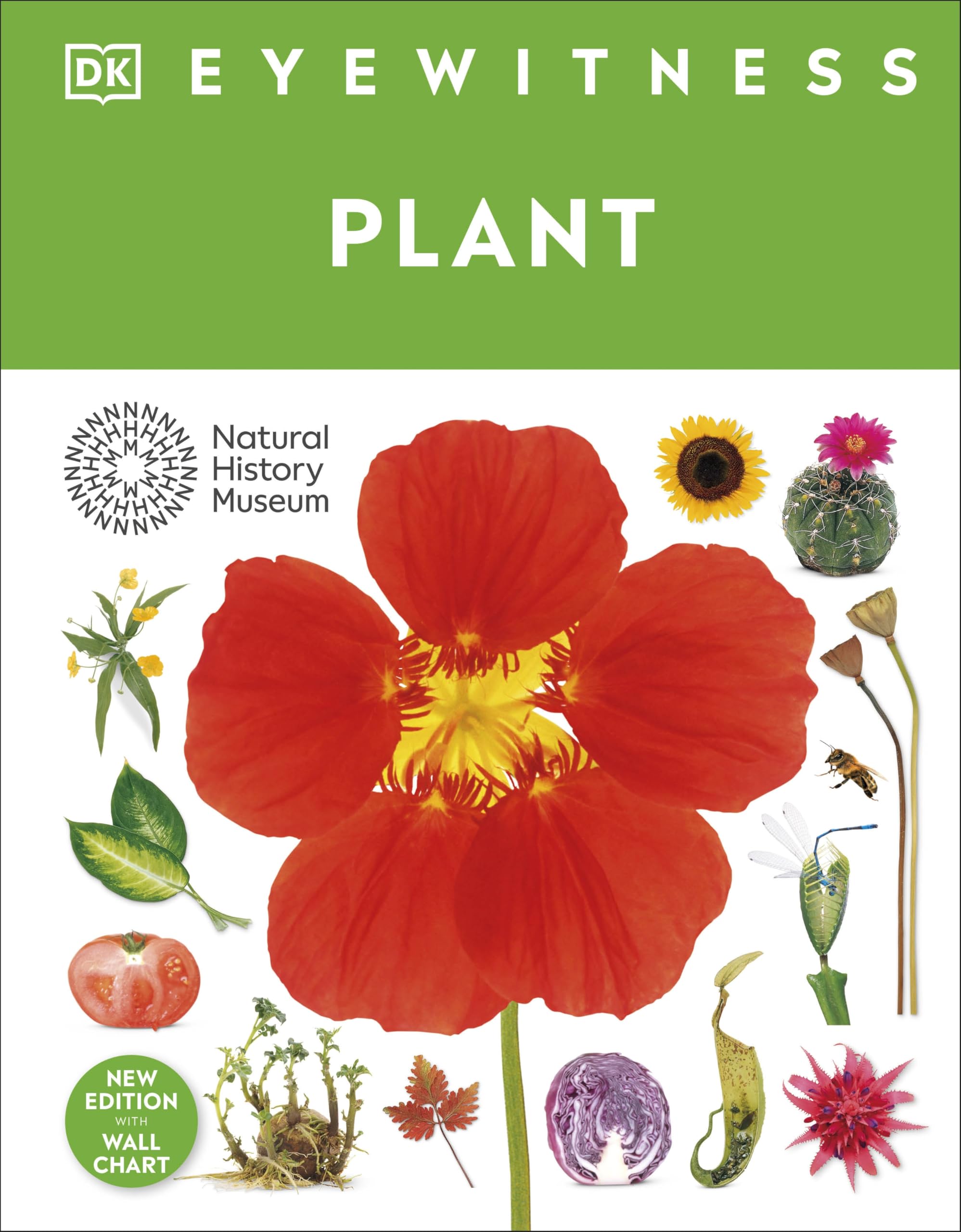 Eyewitness Plant