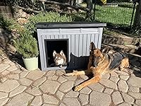 Review Image by Deena Deena