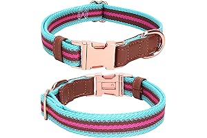 Durable Braided Dog Collar with Reflective Stripes (Medium - Cyan)