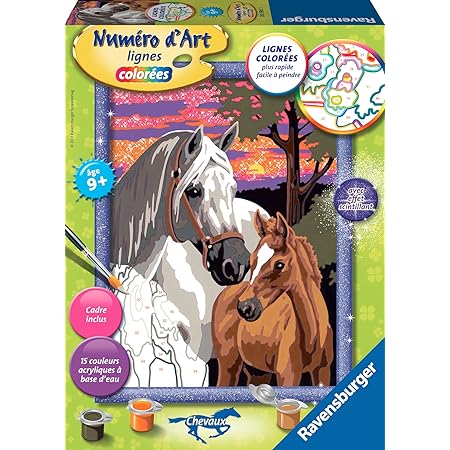 Ravensburger Numero D Art Moyen Format Chat Et Son Compagnon Le Papillon Loisir Creatif Kit De Peinture Acrylique Activite Detente Enfant Des 9 Ans Amazon Fr Jeux Et Jouets