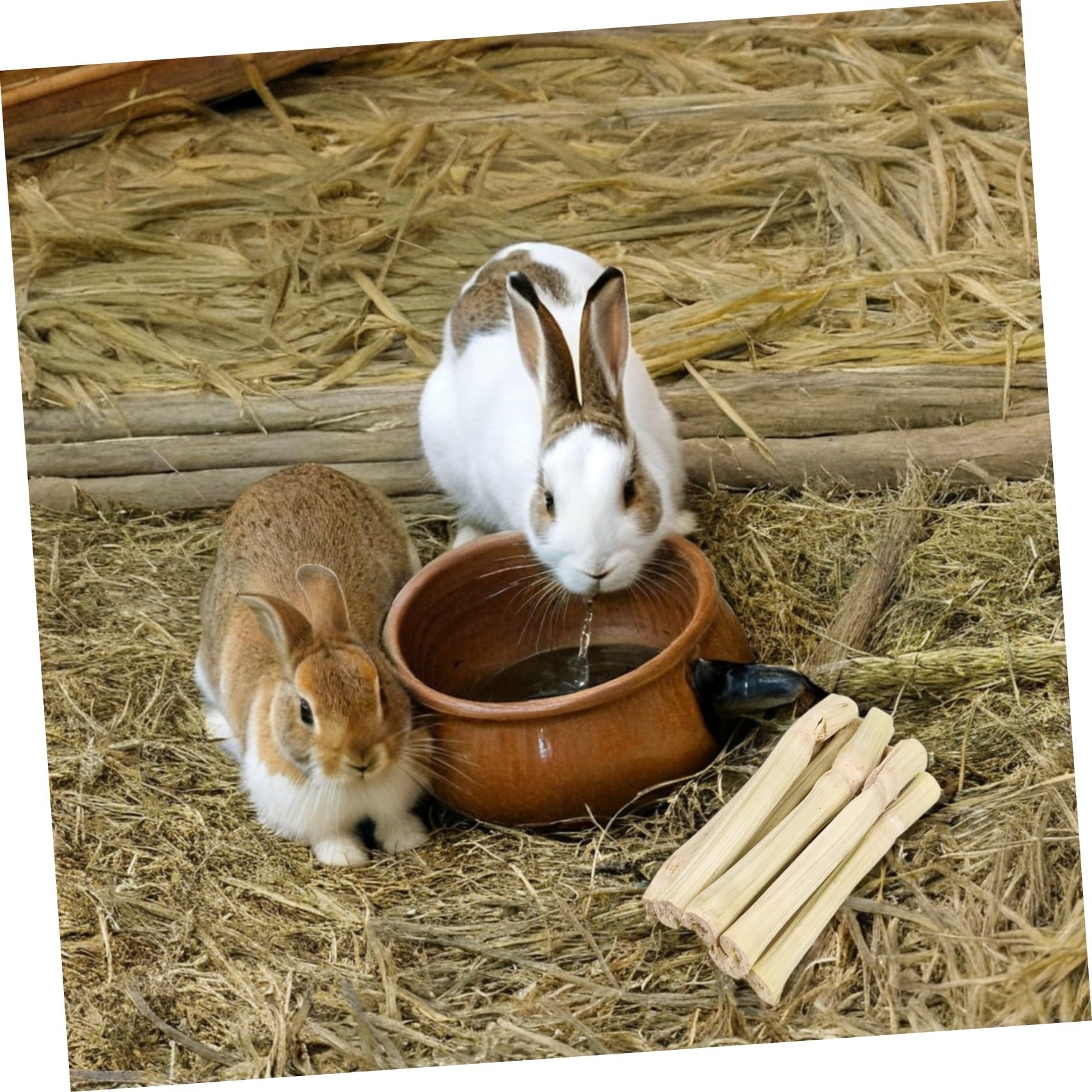 Toyvian Süße Kausnacks aus Bambus für Kaninchen Chinchillas Zahnpflege Kauspielzeug für Kleintiere