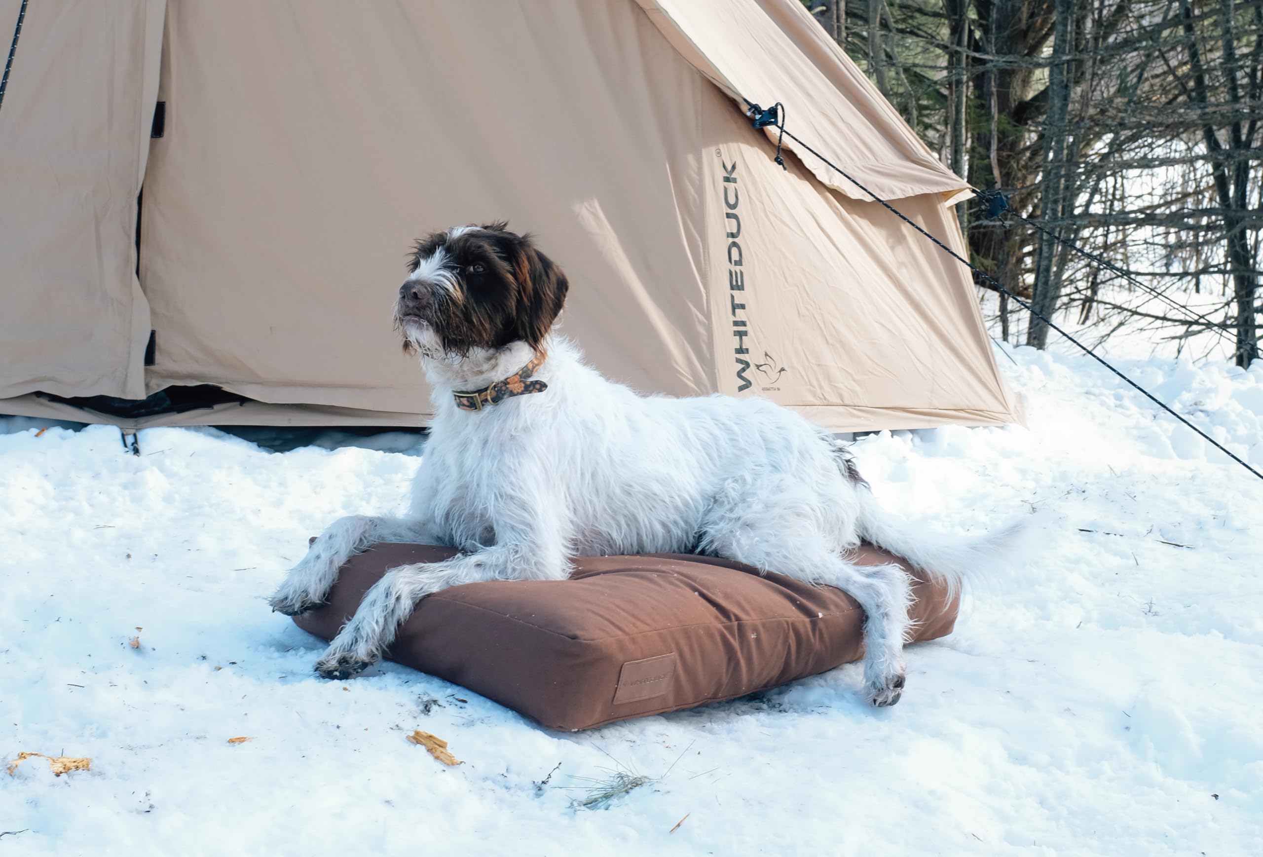 WHITEDUCK Dog Bed Cover (Brown) 28