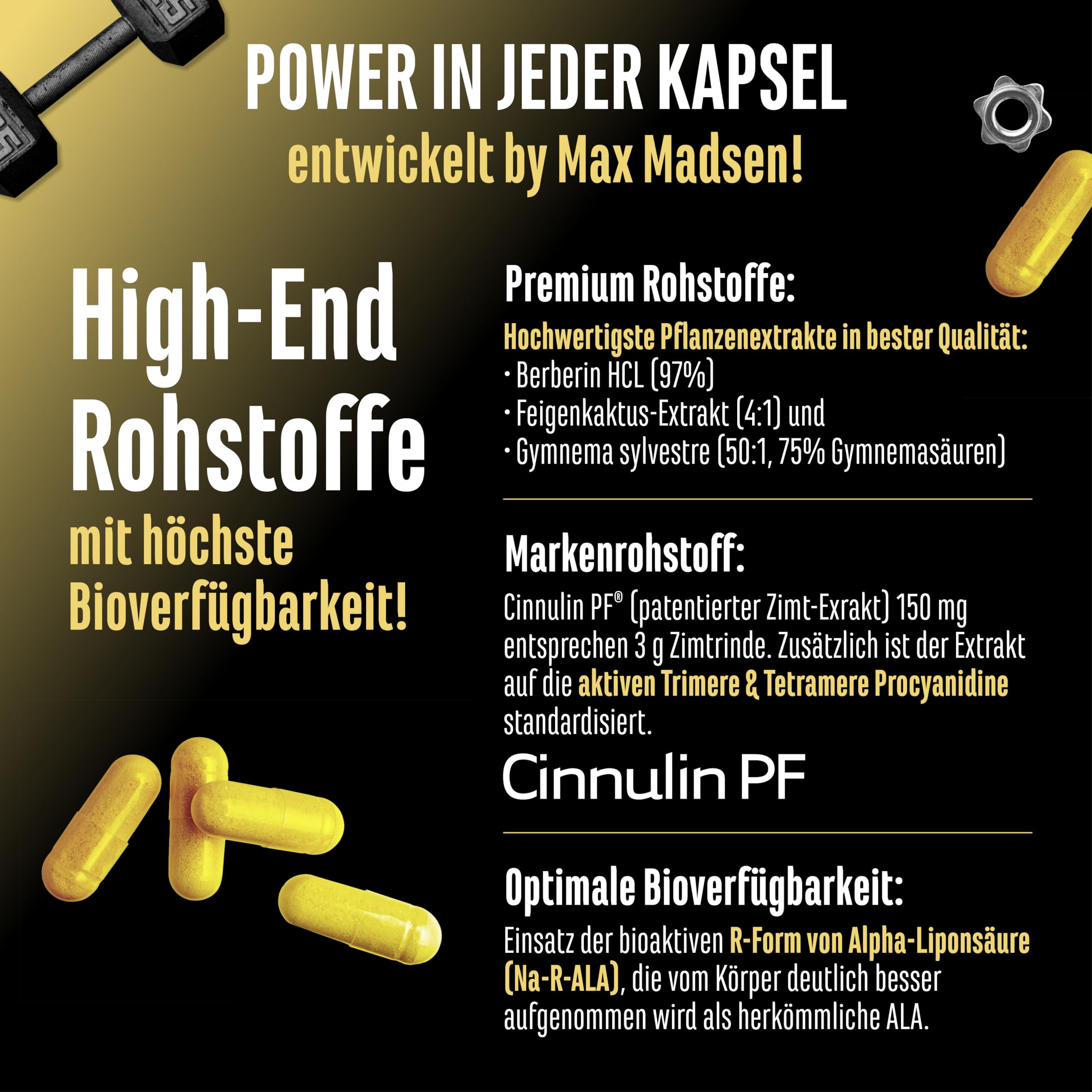 GEN GERMAN ELITE NUTRITION Invictus G.D.A - 120 Kapseln | Berberin-Komplex mit Markenrohstoff Cinnulin PF® & Na-R-Alpha-Liponsäure - Glucose Disposal Agent (GDA) - Laborgeprüft