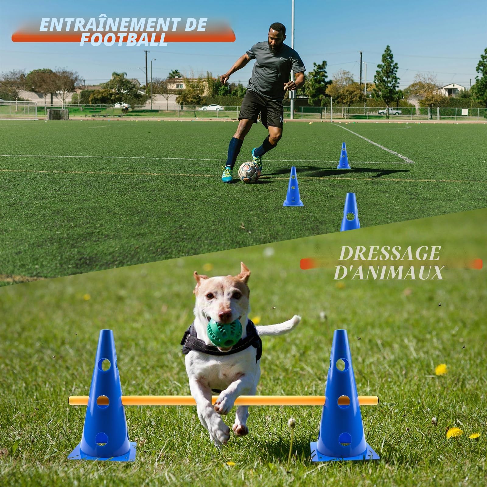 Agility Kit de barrière d'agilité pour Chien - pour Petit Chien - Cavaletti - Obstacles pour Chevaux - Parcours canin - Cavaletti réglables - Hauteur : 32 cm - 8 Barres de 80 cm de Long
