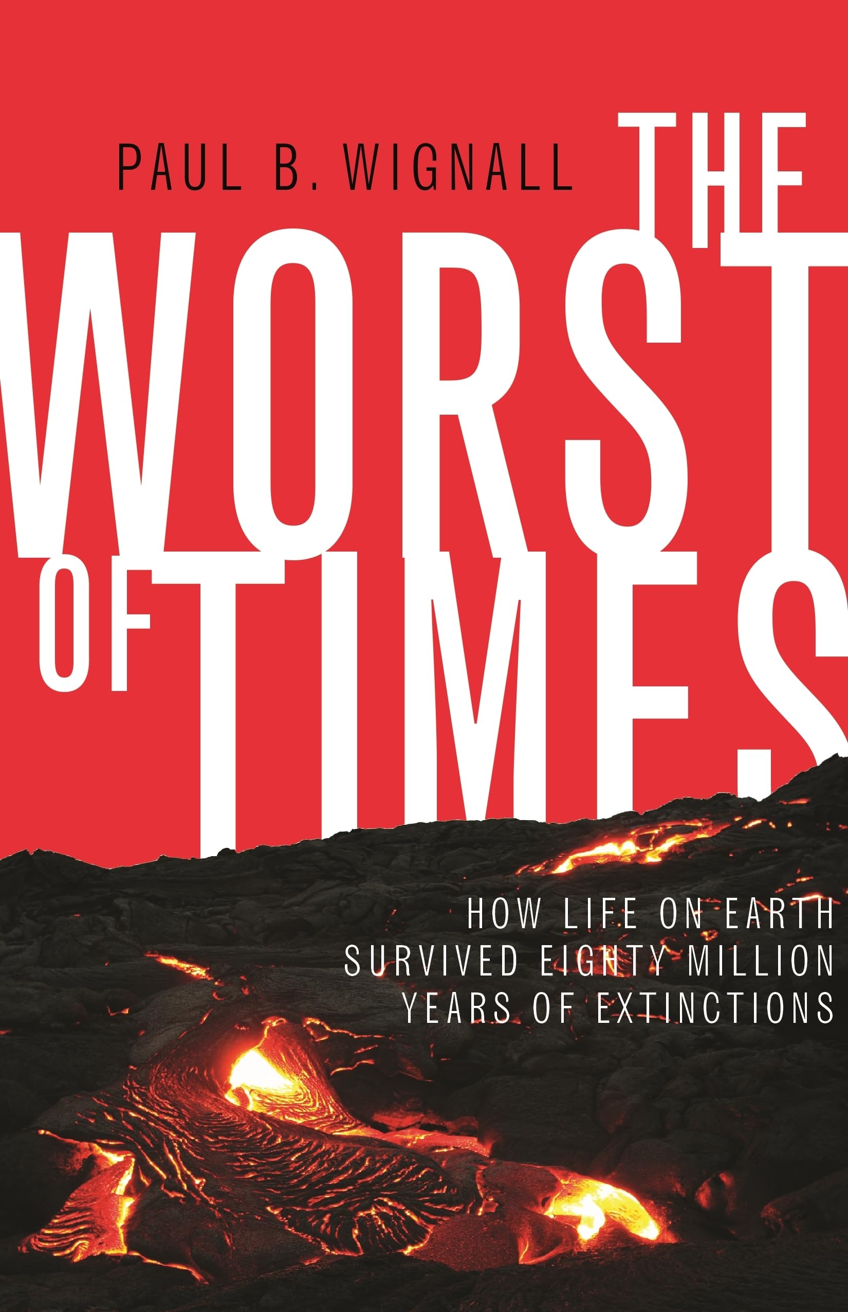 The Worst of Times by Paul B. Wignall PAPERBACK 9780691176024