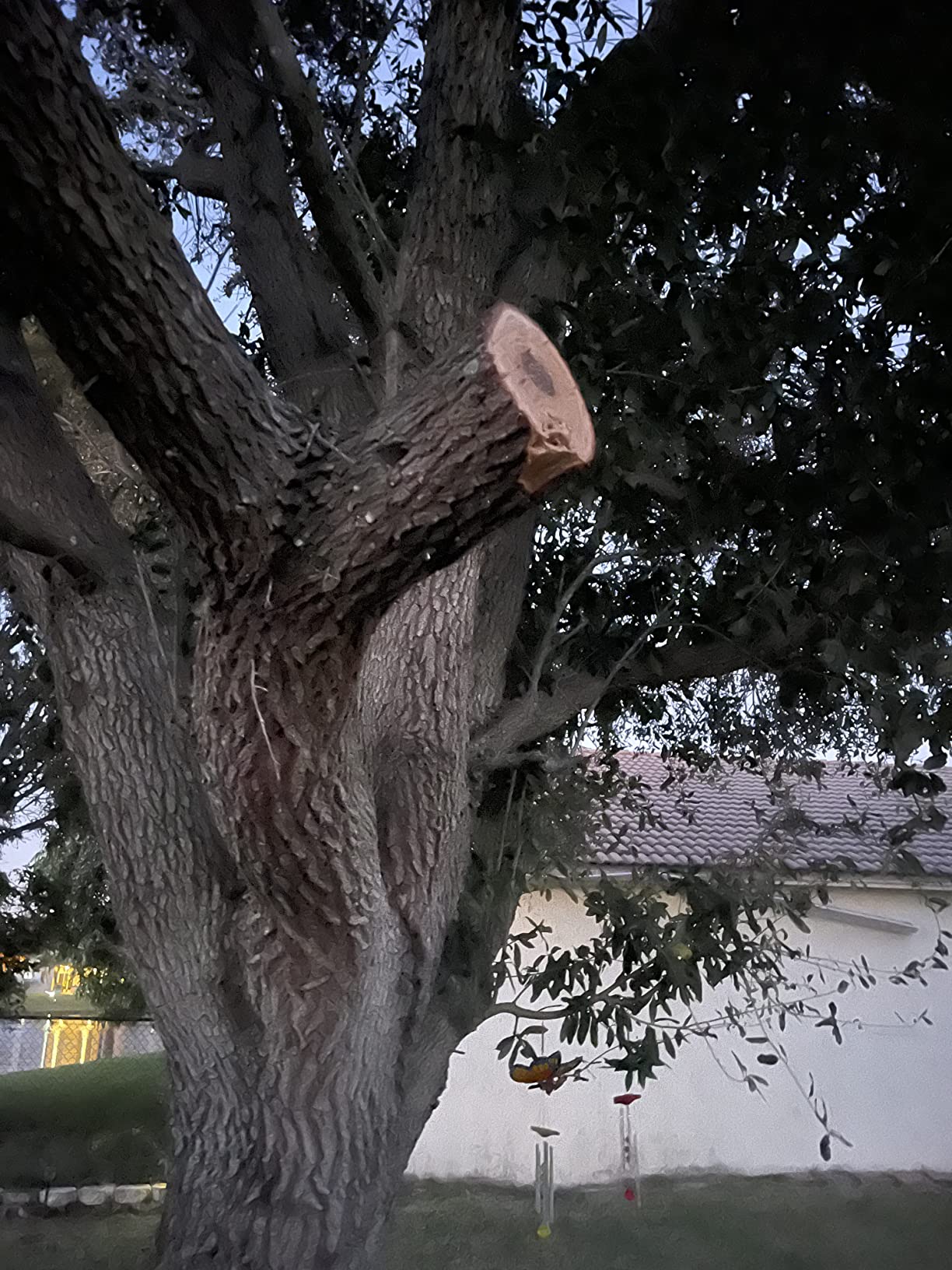 22/mo Finance VTEK Chainsaw Cordless Brushless Chain Saw 12inch