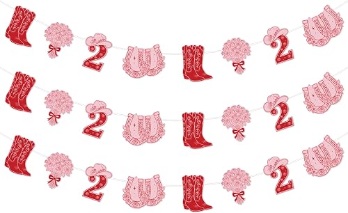 Two Dozen Roses Garland Set 3pcs for Girl 2nd Birthday Party, Pink Red Western T