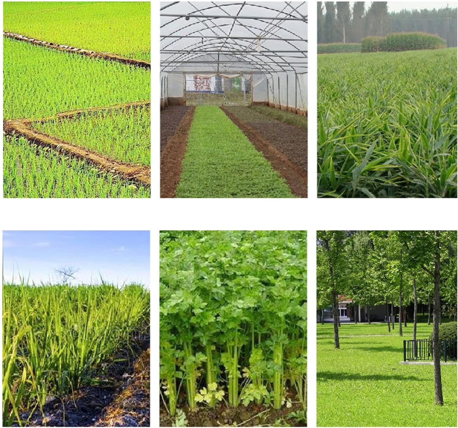 Piscina sobre el suelo zona de riego de tierras de cultivo, Oxford impermeable de doble cara rociado de agua fácil de abrir longitud y color