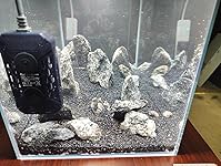 Review Image by Frankie Frankie