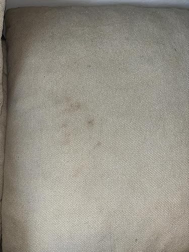 Review Image by Placeholder