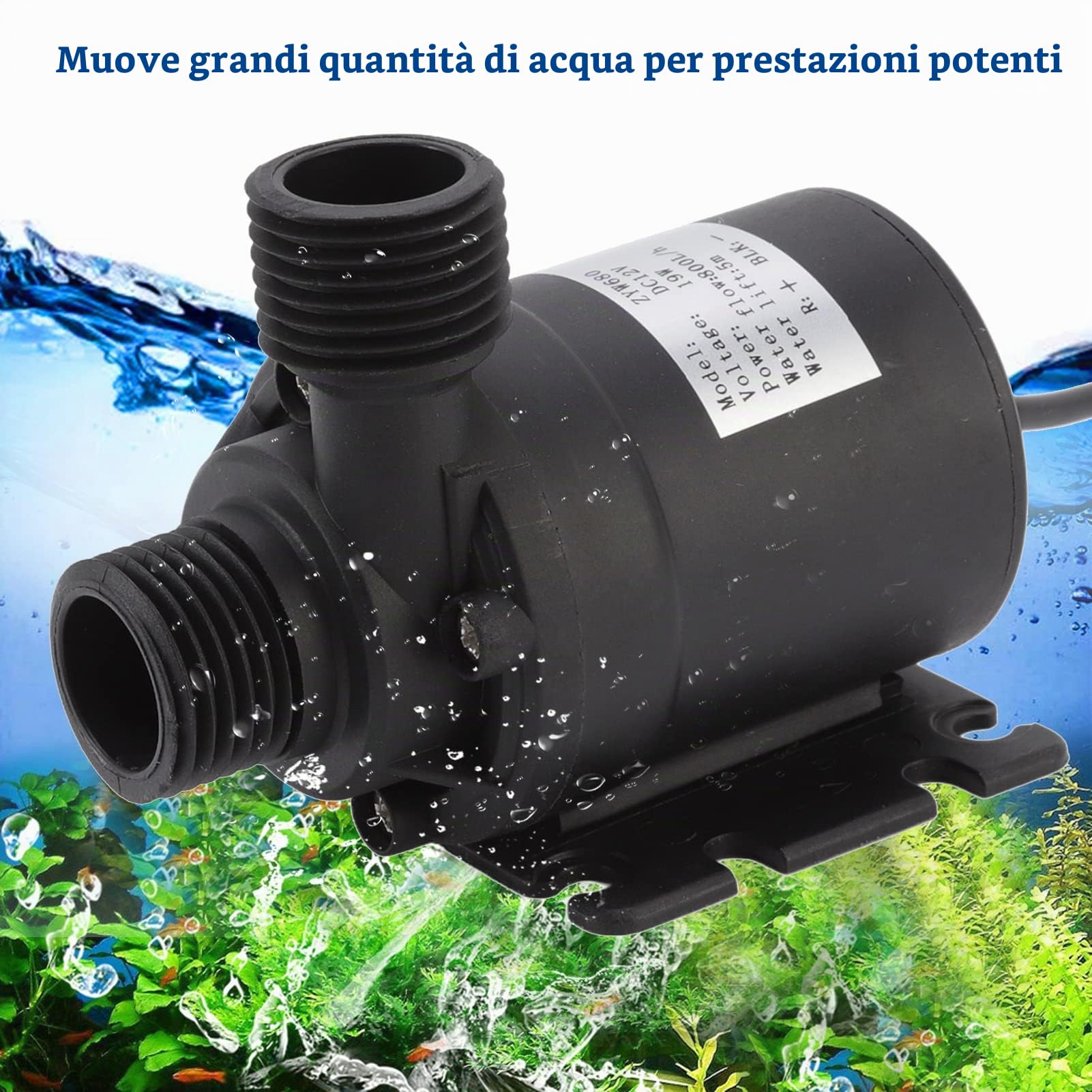 Pompa per Acqua Solare, Pompa per Fontana Solare da 30 W, Kit Pompa per Acqua Solare con Pannello Solare in Polisilicio, Kit Pompa per Fontana per Giardini Idroponici con Fontana Alimentata dal Sole