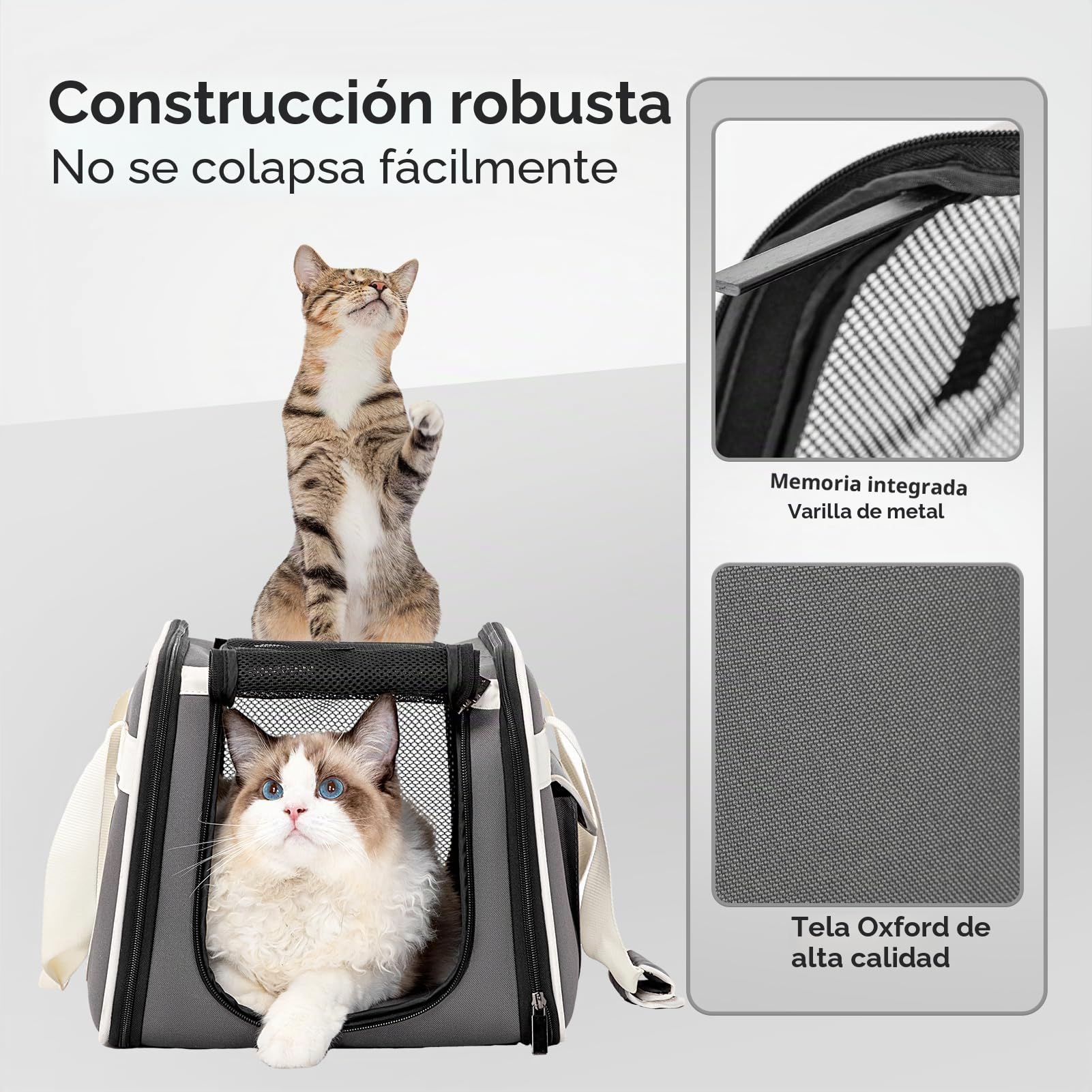 PETSFIT Transportín para perros con ruedas aprobado por aerolíneas diseñado para perros pequeños/gatos con cuerda de seguridad ajustable y ruedas extraíbles, 50,5 cm de largo x 31 cm de ancho x 36,5