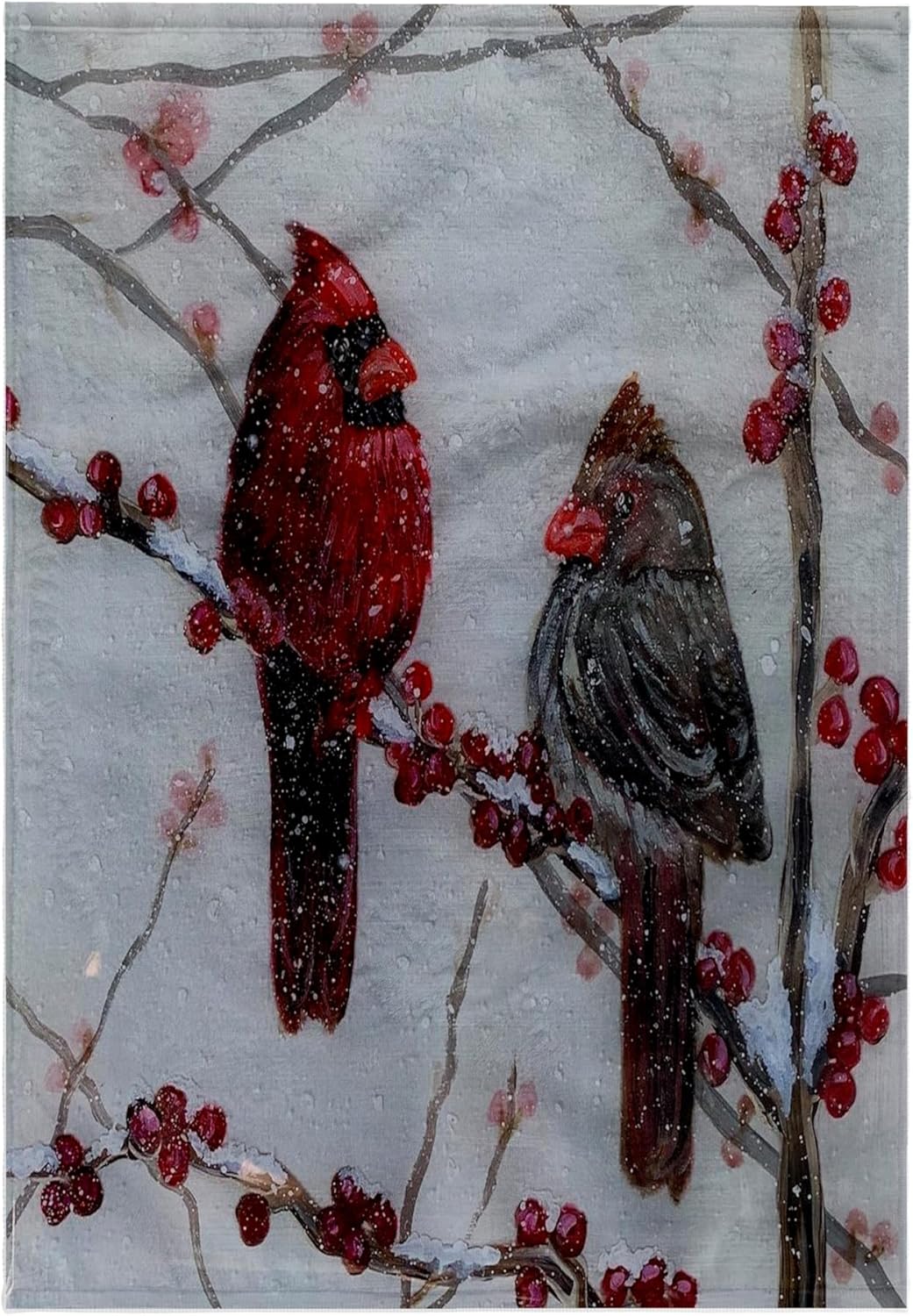 3dRose Image of Cardinal Couple Sitting on Branches with Snowfall 22x30 Bath Hand Pool Towel