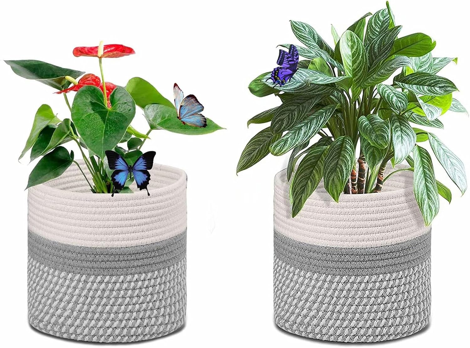 Cotton Rope Plant Basket 2 Pack Hand Woven Storage Basket