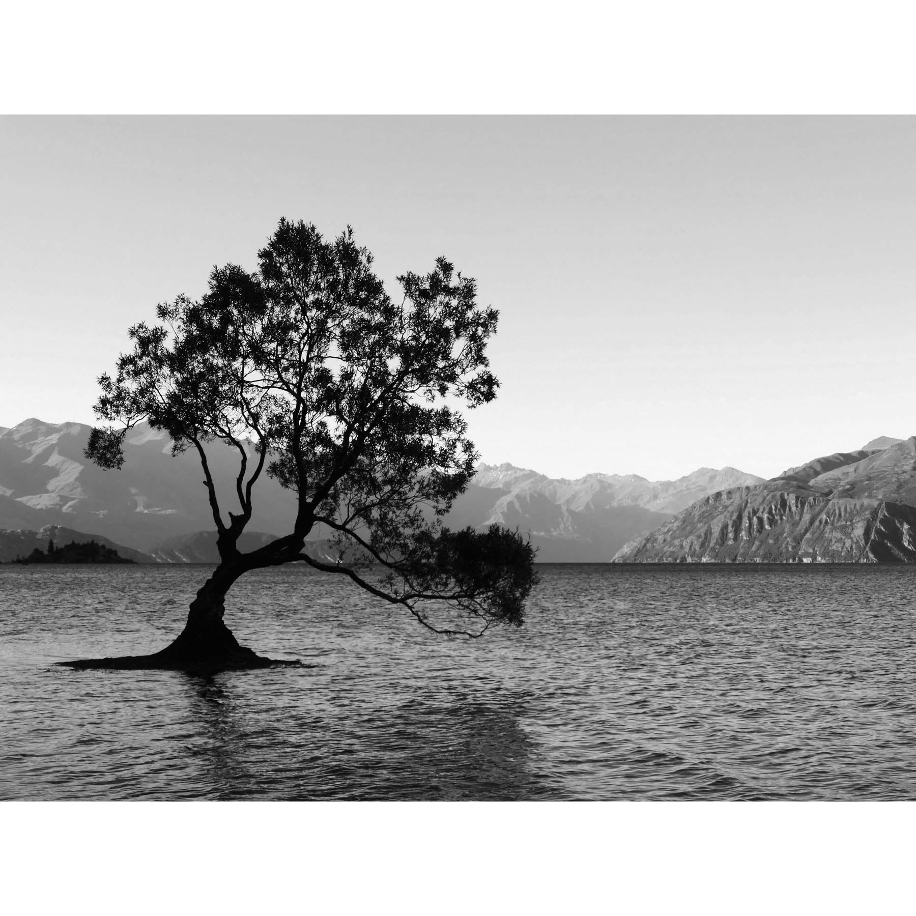 The Lone Tree Lake Wanaka Art Print Poster Wall Decor