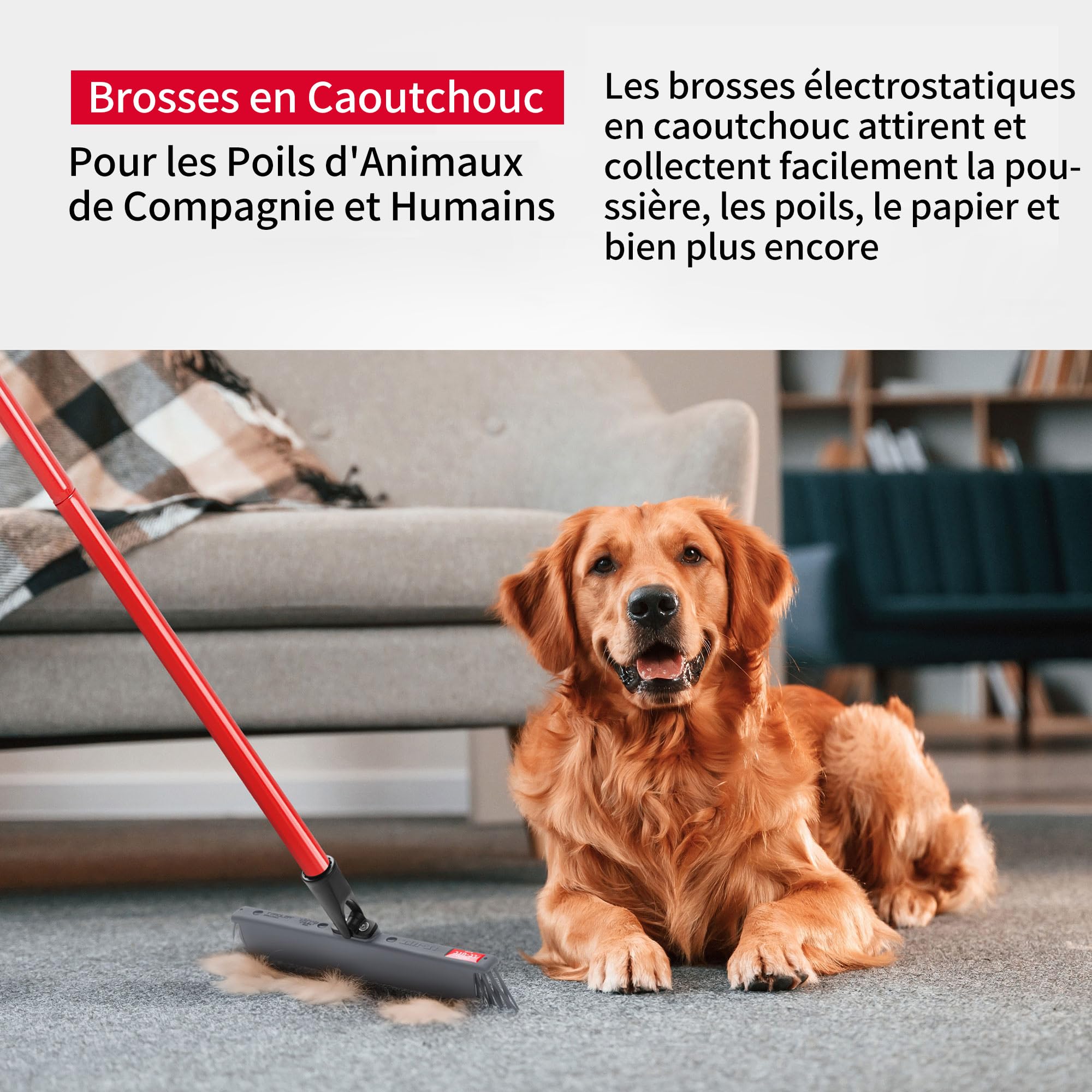Tyroler Balai Caoutchouc Japonais 30 Cm - Balai Poils Animaux Avec Manche 140 Cm Anti-Rouille 4 Parties