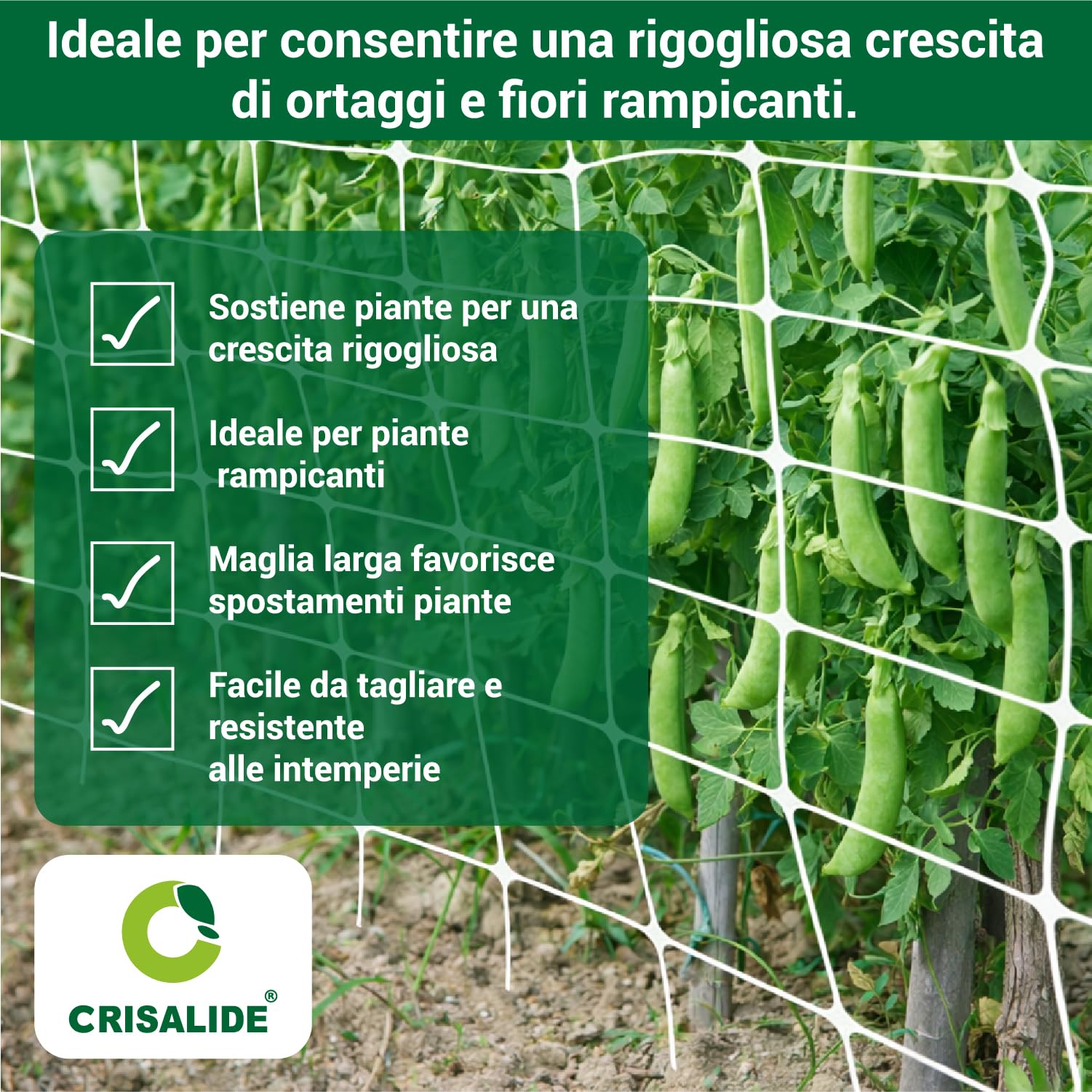 Crisalide Filet pour jardin et plantes grimpantes professionnel – Maille résistante en polyéthylène pour jardin, serre et culture agricole – Différentes dimensions (1,7 x 500 mètres)