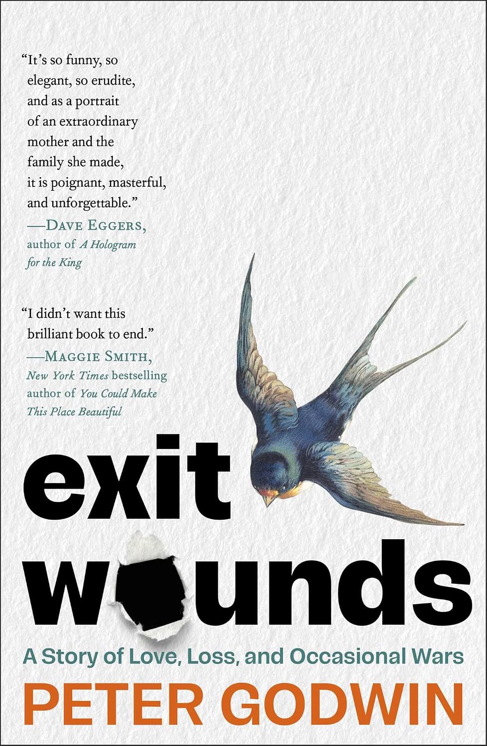 Exit Wounds: A Story of Love, Loss, and Occasional Wars