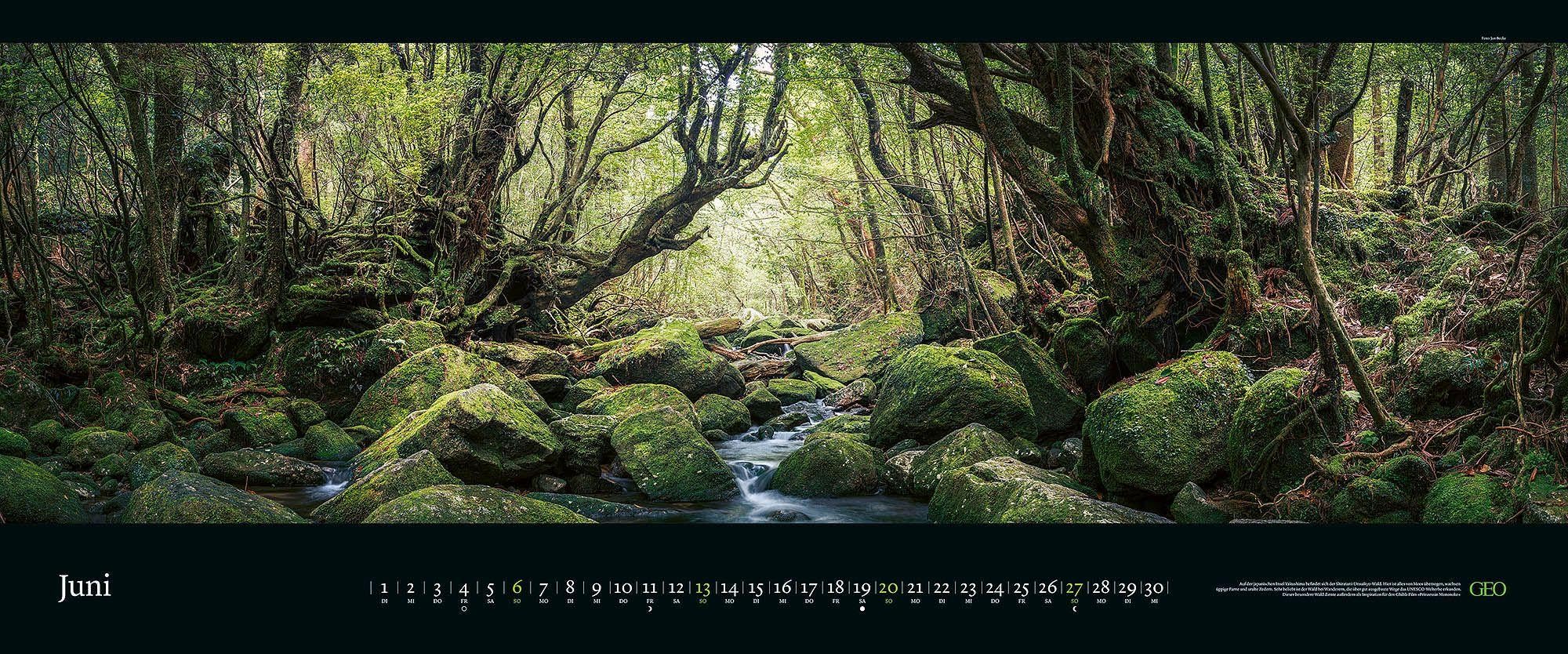 GEO Panorama: Orte der Stille 2027: XXL Wandkalender 120x50 cm mit 12 Naturfotografien, deutschem Kalendarium und Spiralbindung | XXL Wandkalender 120x50 cm mit 12 Naturfotografien, deutschem Kalendarium und Spiralbindung