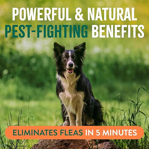 Miniatura 4 de TropiClean Spray natural para pulgas y garrapatas de máxima fuerza para perros, 16 onzas