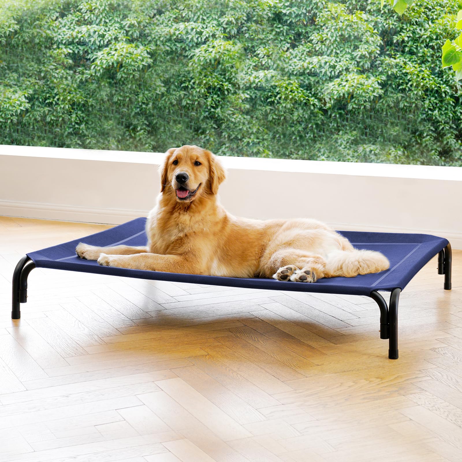 Elevated Dog Bed Outdoor Cooling Raised Cot for XL Dogs, Blue 53.9in