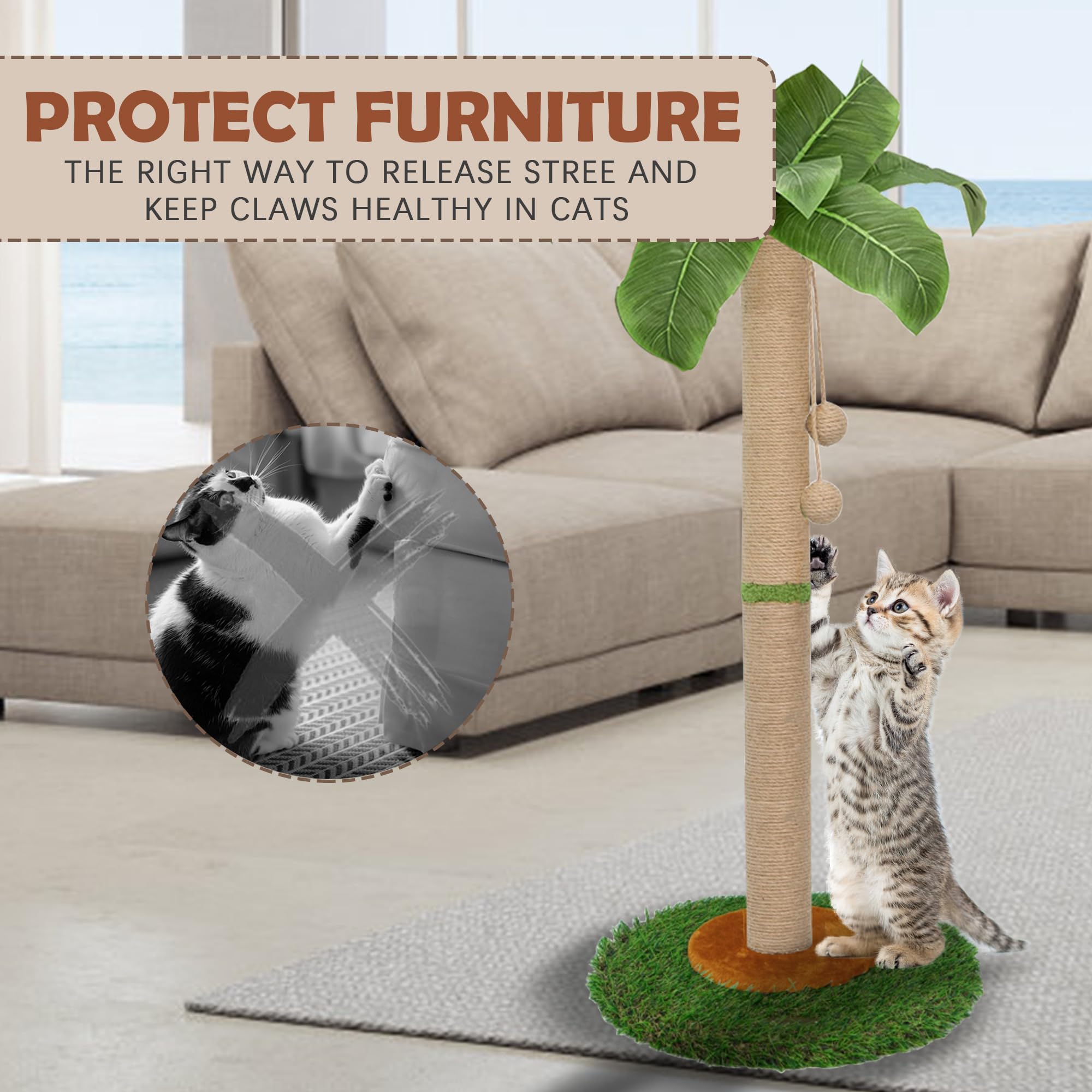 Poste rascador para gatos y gatitos de interior – Poste rascador para gatos de 60 cm de alto con cuerda de sisal, poste rascador para gatos de palmera con bola colgante (80 cm)