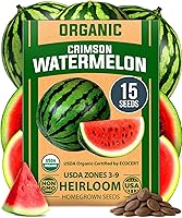 Vista 38 de HOME GROWN Semillas de eneldo sin OMG para plantar 1,014 ramos de semillas de eneldo y semillas de hierbas tradicionales para plantar al aire libre