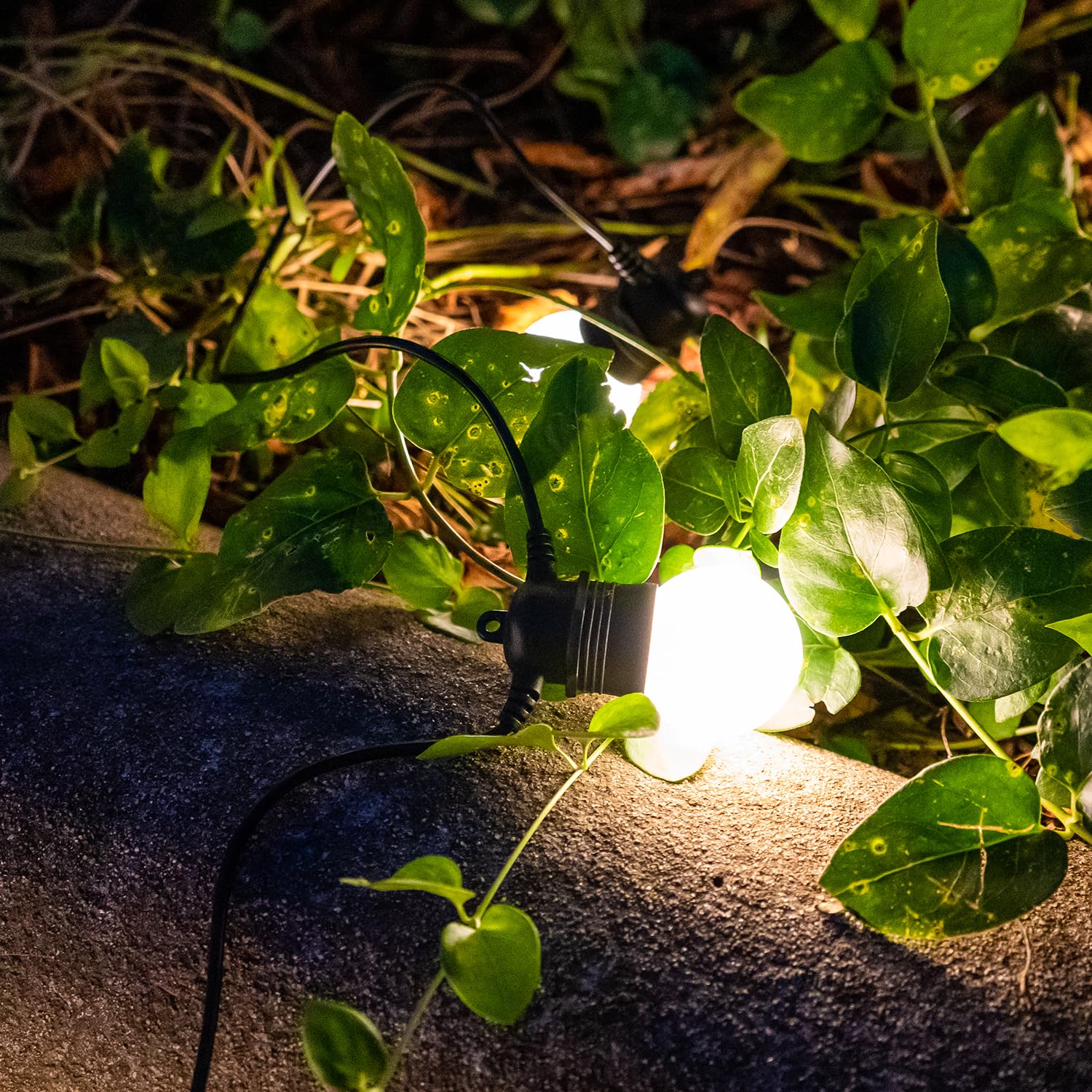 GuirLED - Solare und wasserdichte Lichterkette IP55 Guinguette Premium - 16 LED 7,5 Meter - Erweiterbar - 100% Autonom - XL-Photovoltaikfolie - Lithium-Batterie 4000 mAh - White Edition
