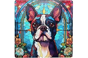 Boston Terrier Dog Glass Art Wall Plaque - A Colorful Canvas for...