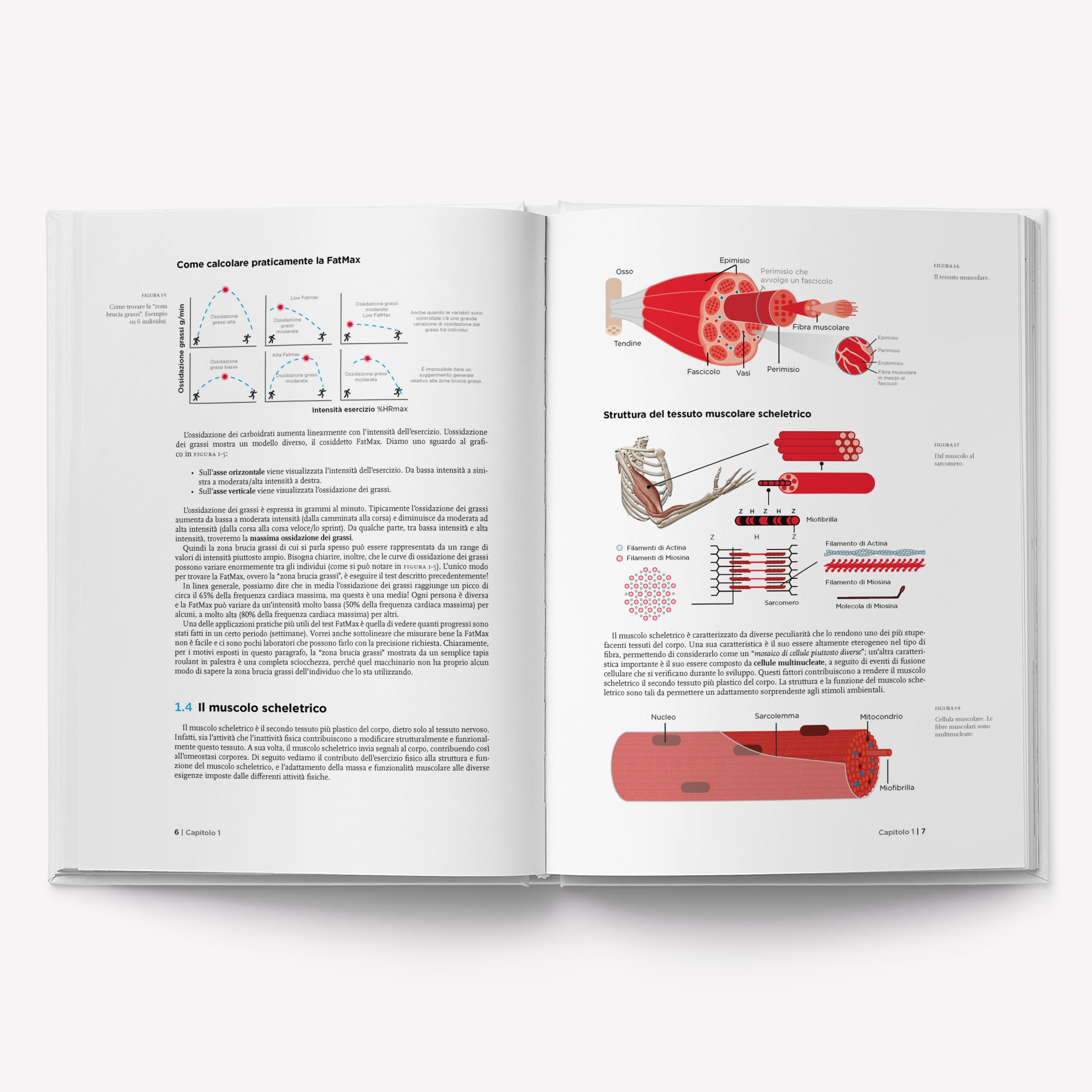 Il manuale del nutrizionista sportivo