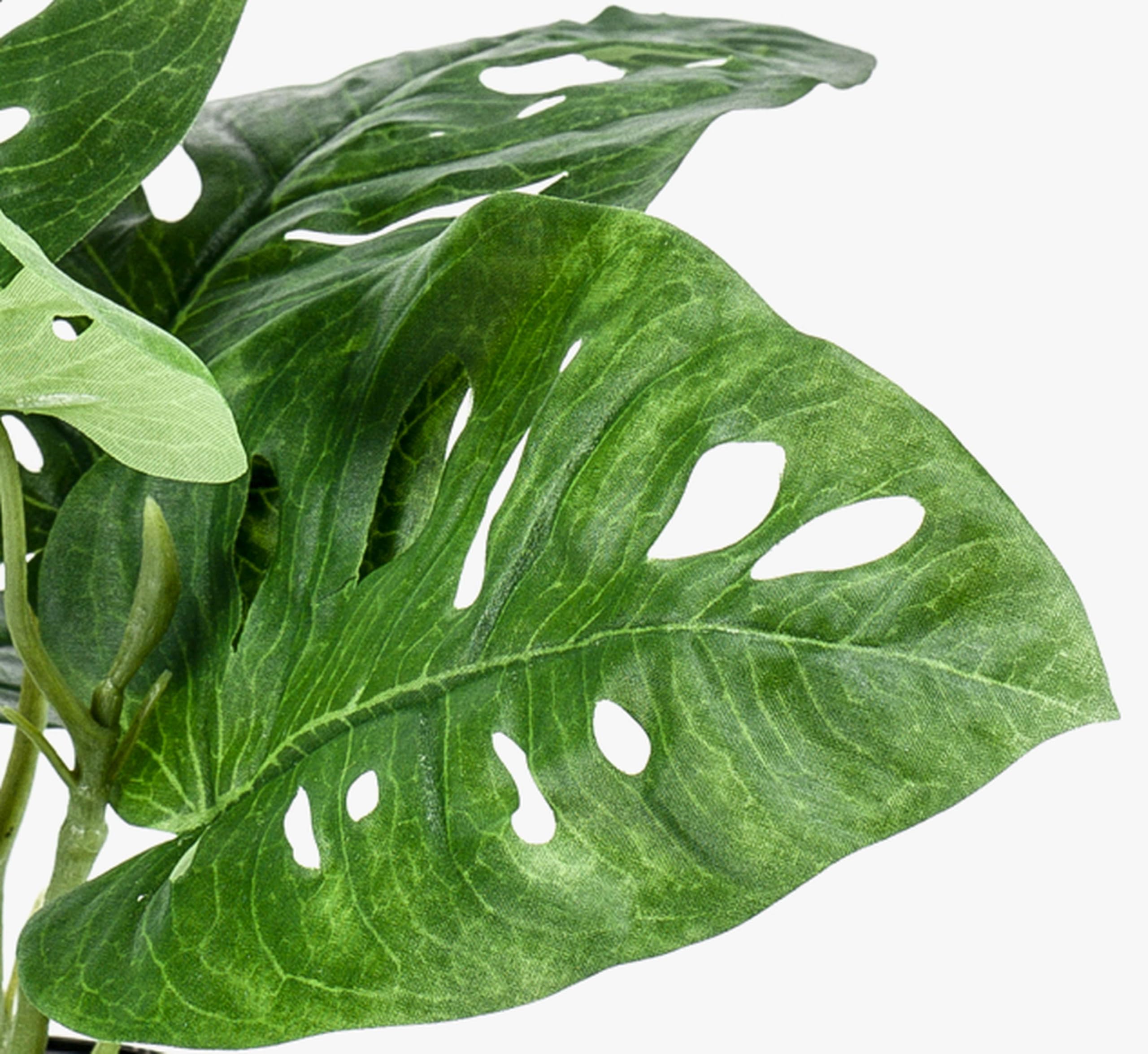 Amazon.de: artplants.de Philodendron Kunstpflanze PUYA, 30cm - Monstera  knstlich/Knstliche Zimmerpflanze