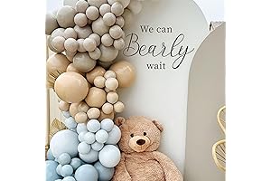 We Can Bearly Wait Teddy Bear Decorations for Baby Showers