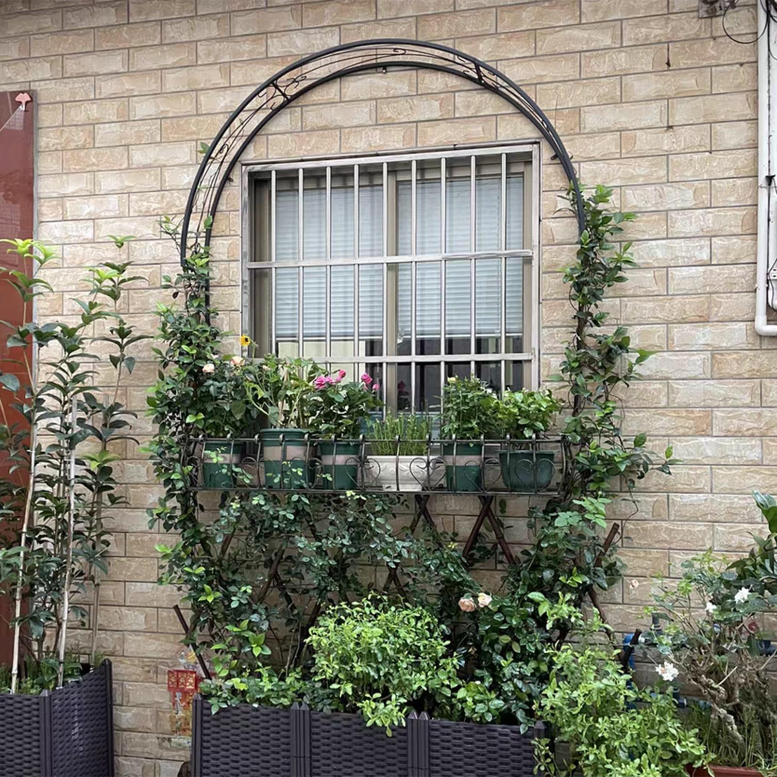 Arche à Rosiers Arche de Jardin Murale Treillis en métal Support pour Plantes grimpantes Arceau à Rosiers Pergola Semi-Circulaire pour fenêtres Portes Entrées