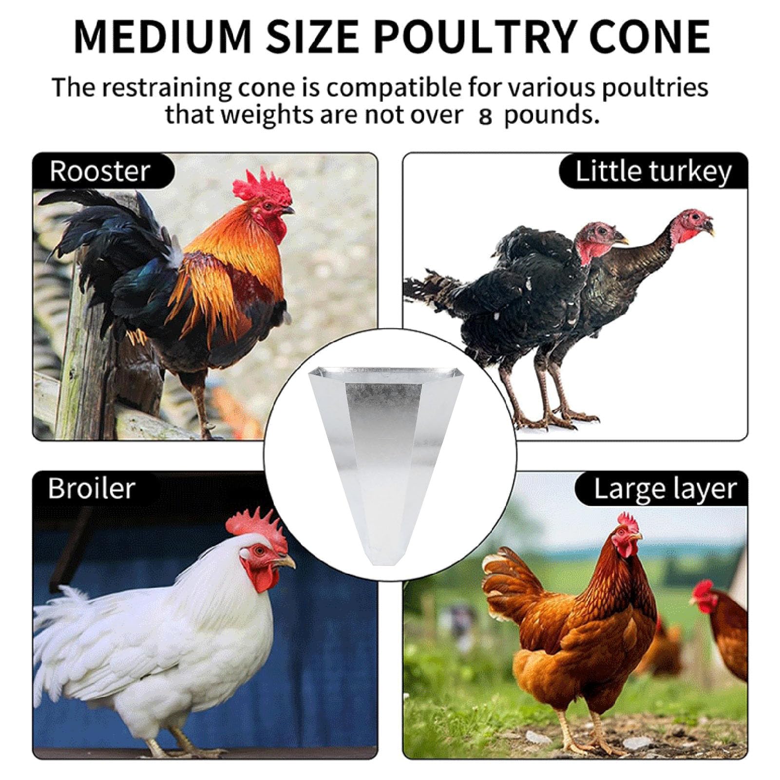 Fdit Cono para Matar Pollos, Embudo de Cono de Retención de Aves de Corral de Acero Galvanizado Resistente con Bordes Doblados, para Asadores, Pavos de hasta 8 Libras