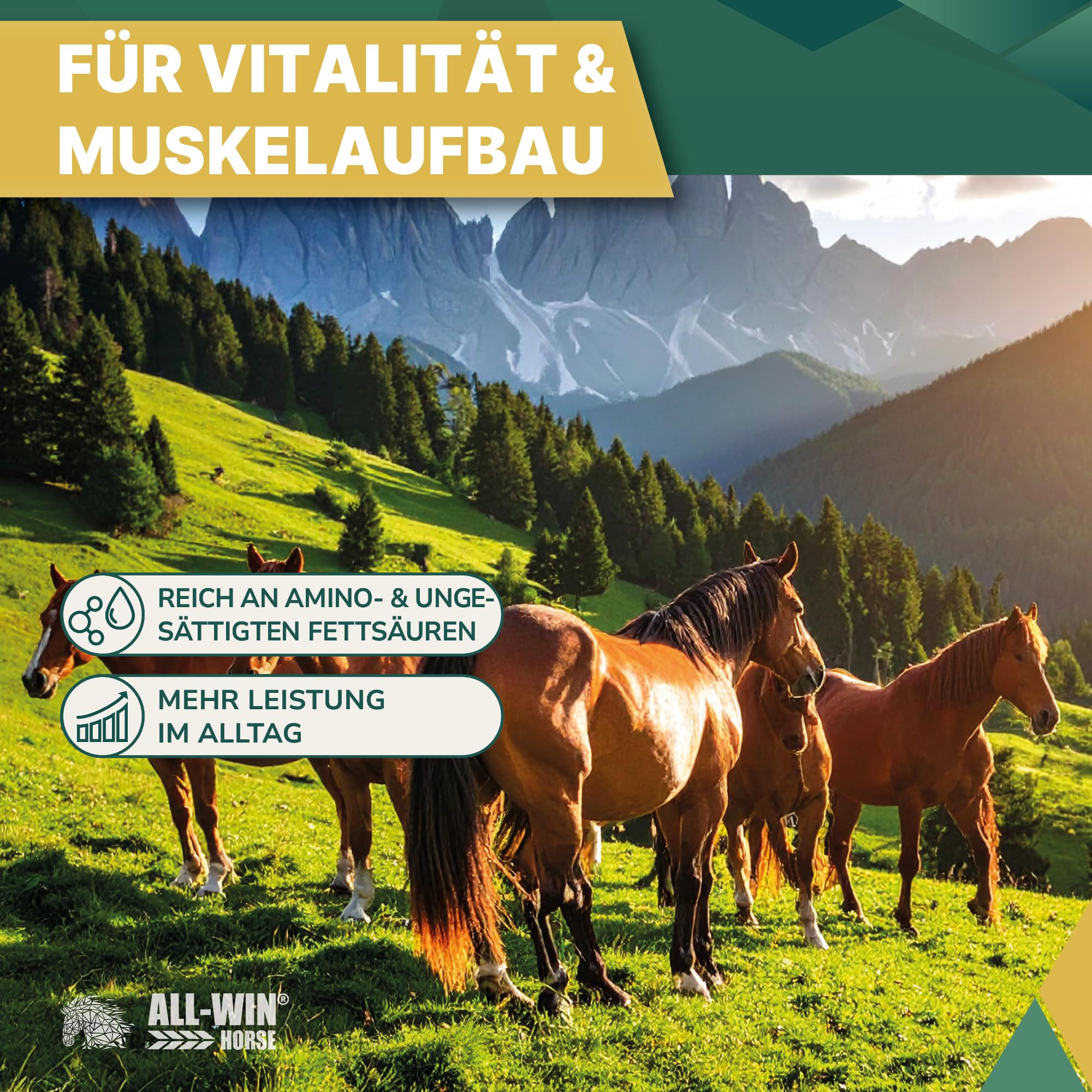 ALL-WIN Horse Mucosal Care 15 kg | Getreidefreies Pferdefutter ohne Zuckerzusatz | Pferdemüsli mit Meeresalgen & Aminosäuren | Für magenempfindliche Pferde & gesunde Verdauung