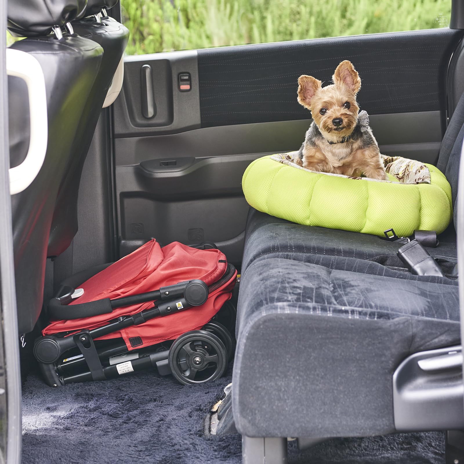 Amazon | Compet(コムペット) リココンパクト（レッド） | コムペット