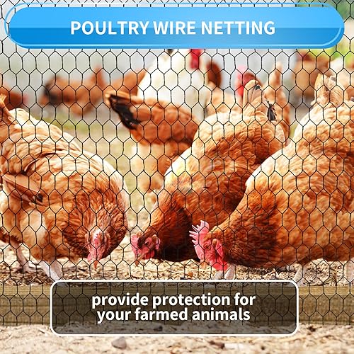 Miniatura 7 de DOLEMODUO Valla de malla de alambre de pollo negro de 36 x 150 pies, red galvanizada de calibre 20 y rollo de valla de malla de jardín de 1 pulgada,