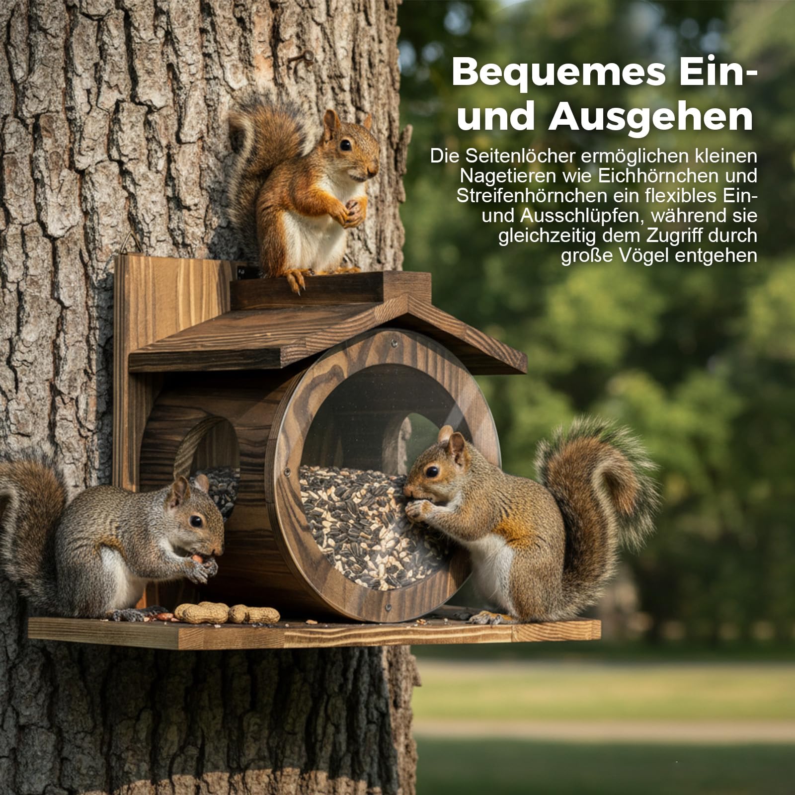 Eichhörnchen Futterhaus aus Holz, wetterfestes Dach, transparentes Fenster, für Bäume und Zäune