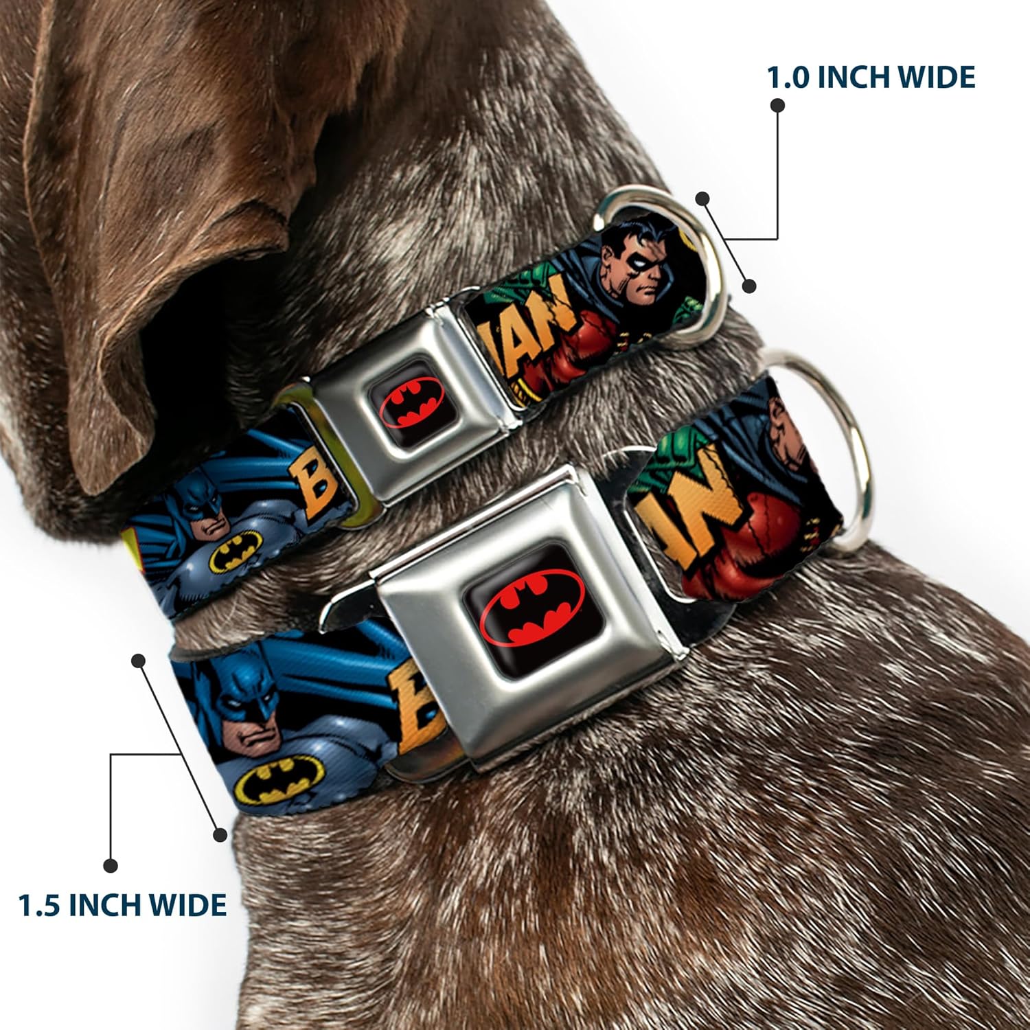 Buckle-Down Seatbelt Buckle Dog Collar - Batman & Robin in Action w/Text Black - 1" Wide - Fits 15-26" Neck - Large