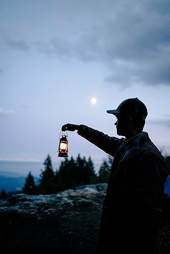 Miniatura 8 de Stansport - Linterna pequeña rojo