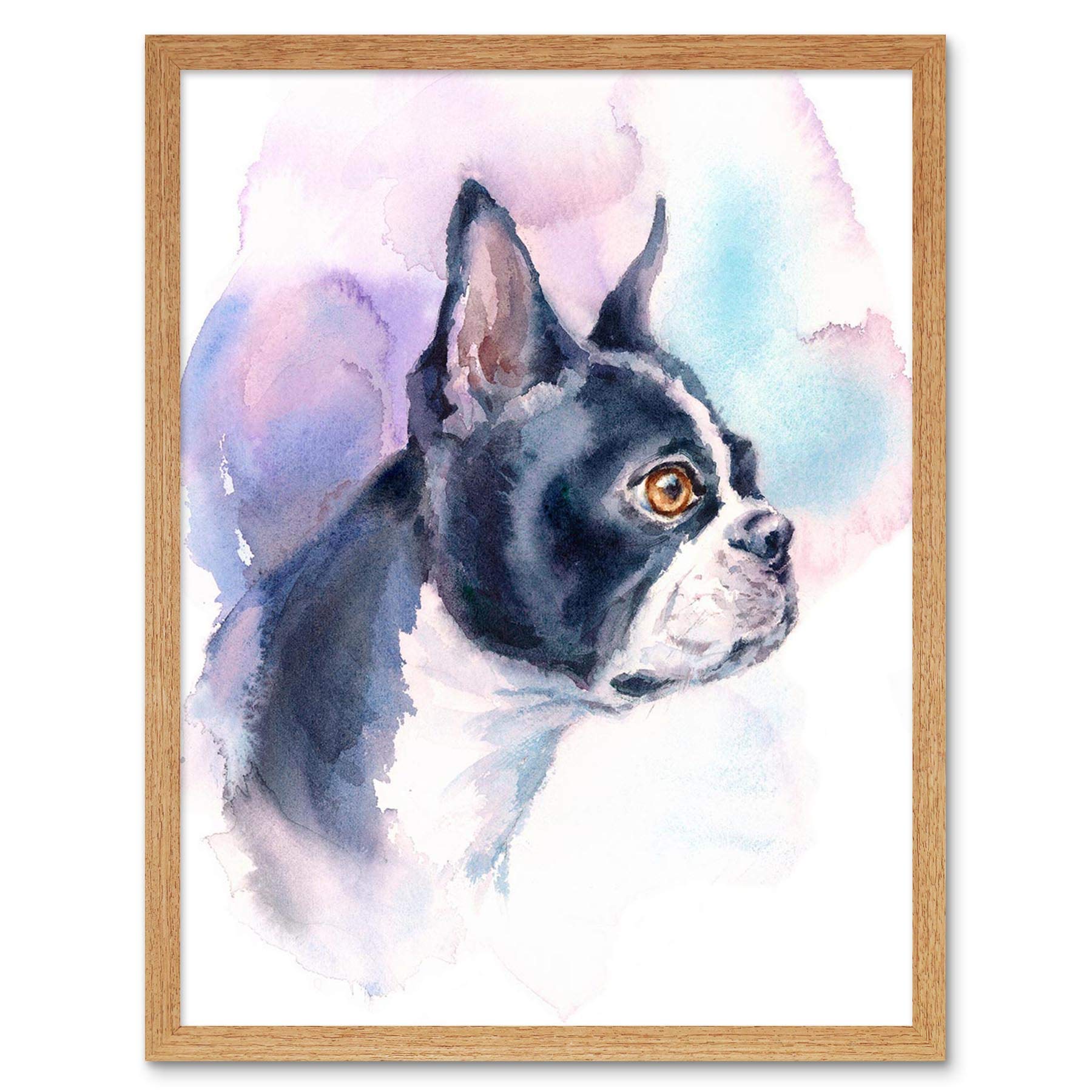 Wee Blue Coo Dog Boston Terrier Watercolour Art Print Framed Poster Wall Decor 12X16 Inch