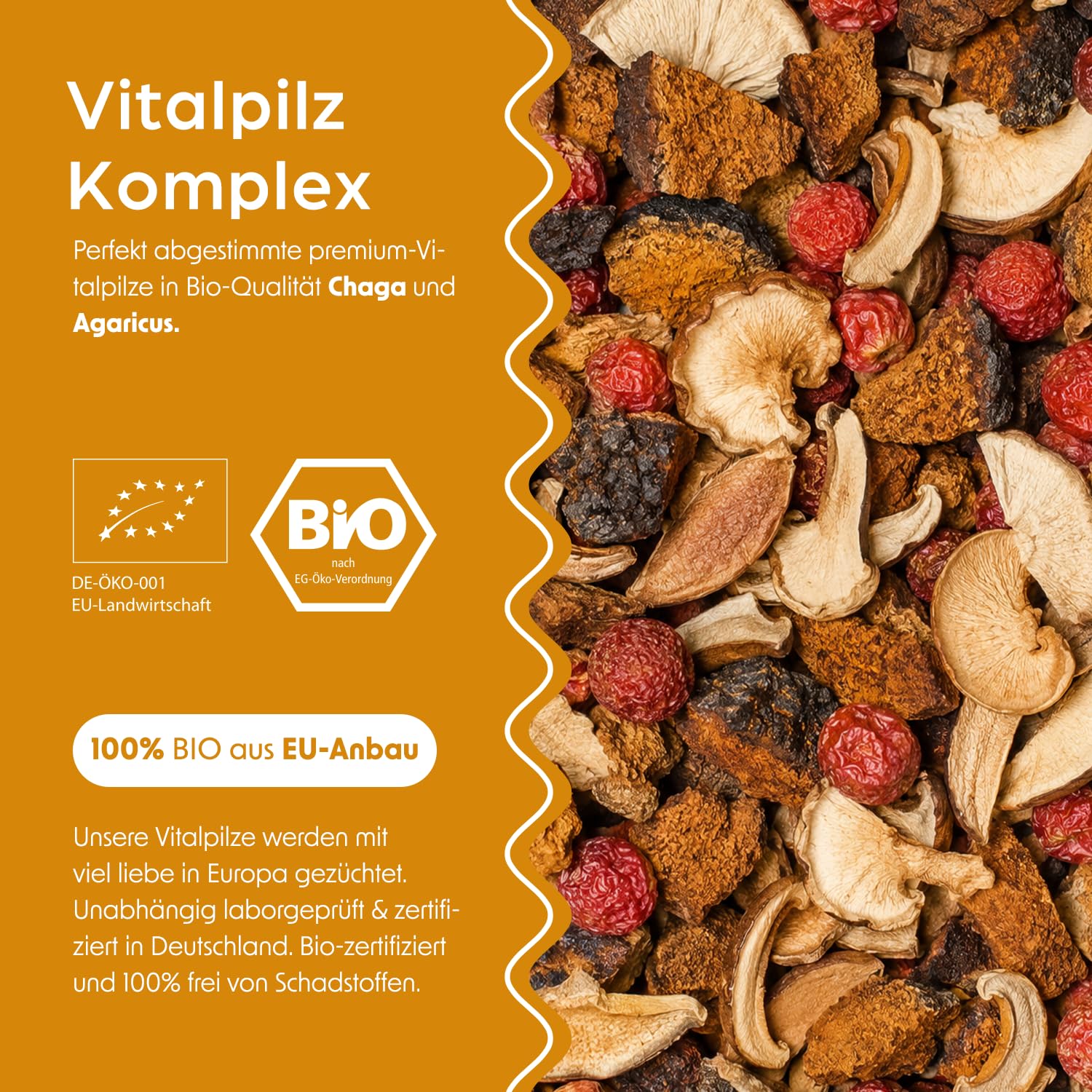 smaints Bio Chaga & Mandelpilz Flüssigextrakt | Bio-Vitalpilz-Dualextrakt mit über 43% Polysacchariden | Hochdosiert für maximale Bioverfügbarkeit | Mit Vitamin C zur Unterstützung des Immunsystems*