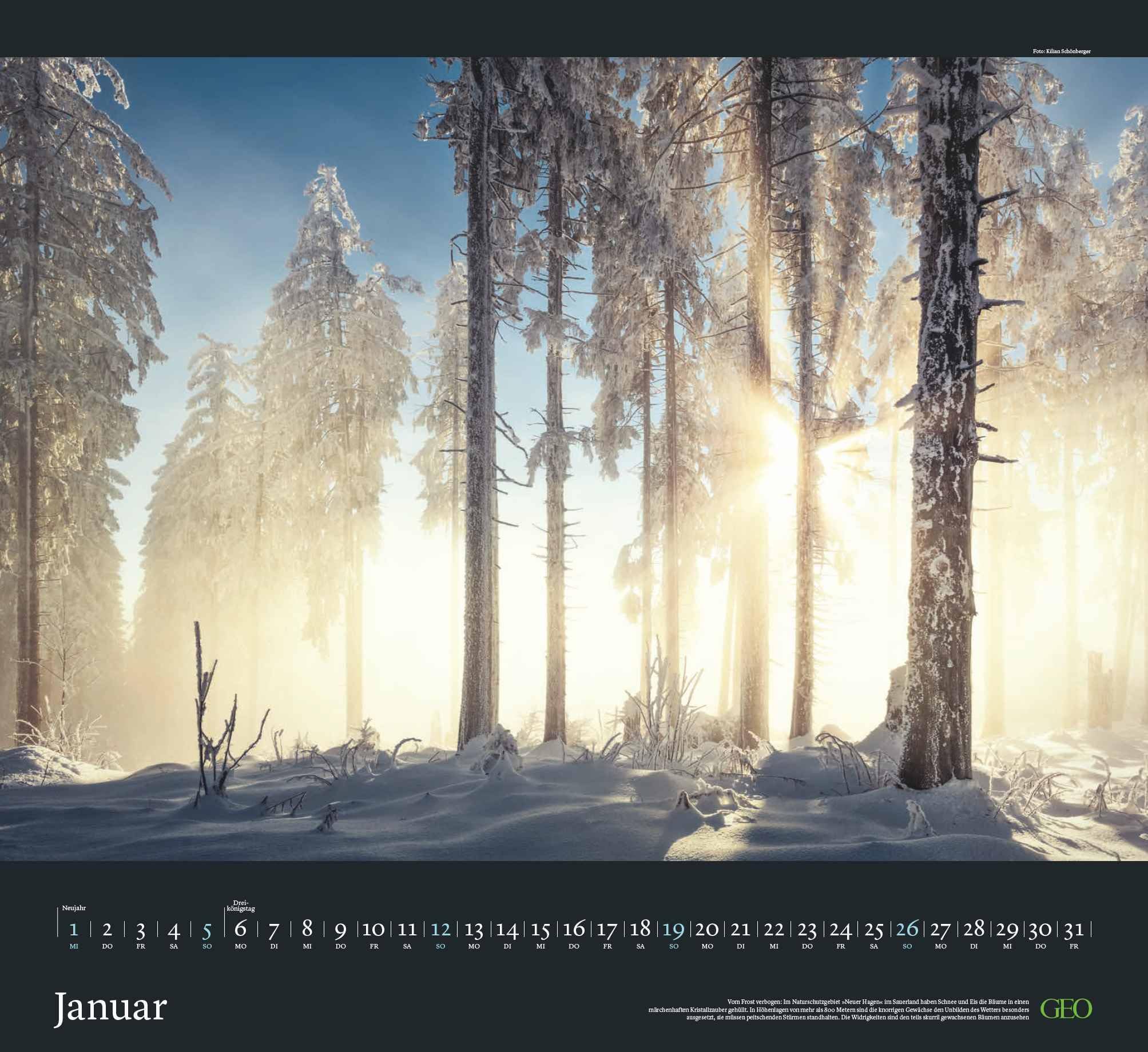 GEO - Sehnsucht Wald Wandkalender 2025 - Eindrucksvoller Waldlandschaften Kalender, Harmonisches Format 60x55 cm, mit Faszinierenden Wald- und Naturbildern