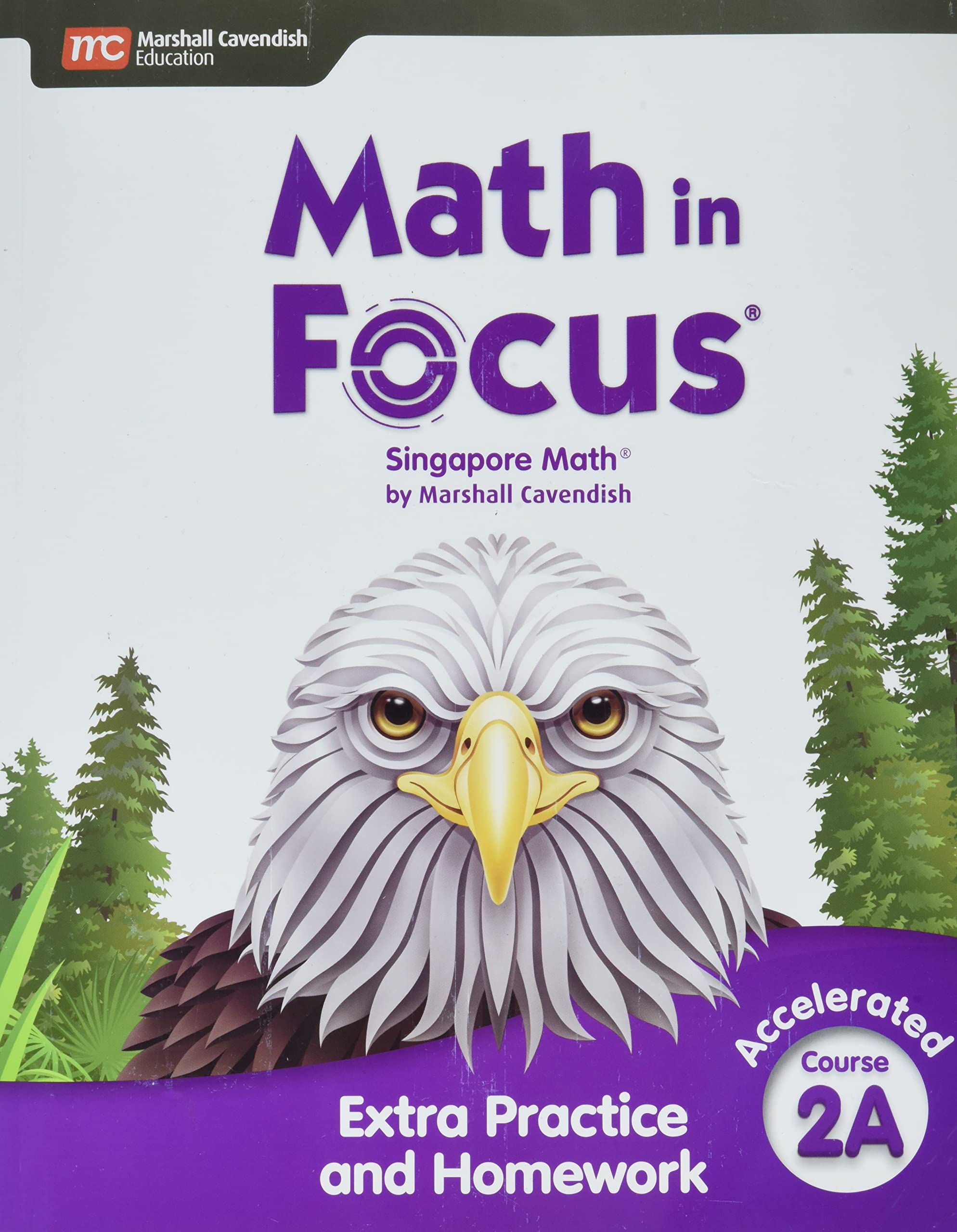 Extra Practice and Homework Volume A Accelerated (Math in Focus)